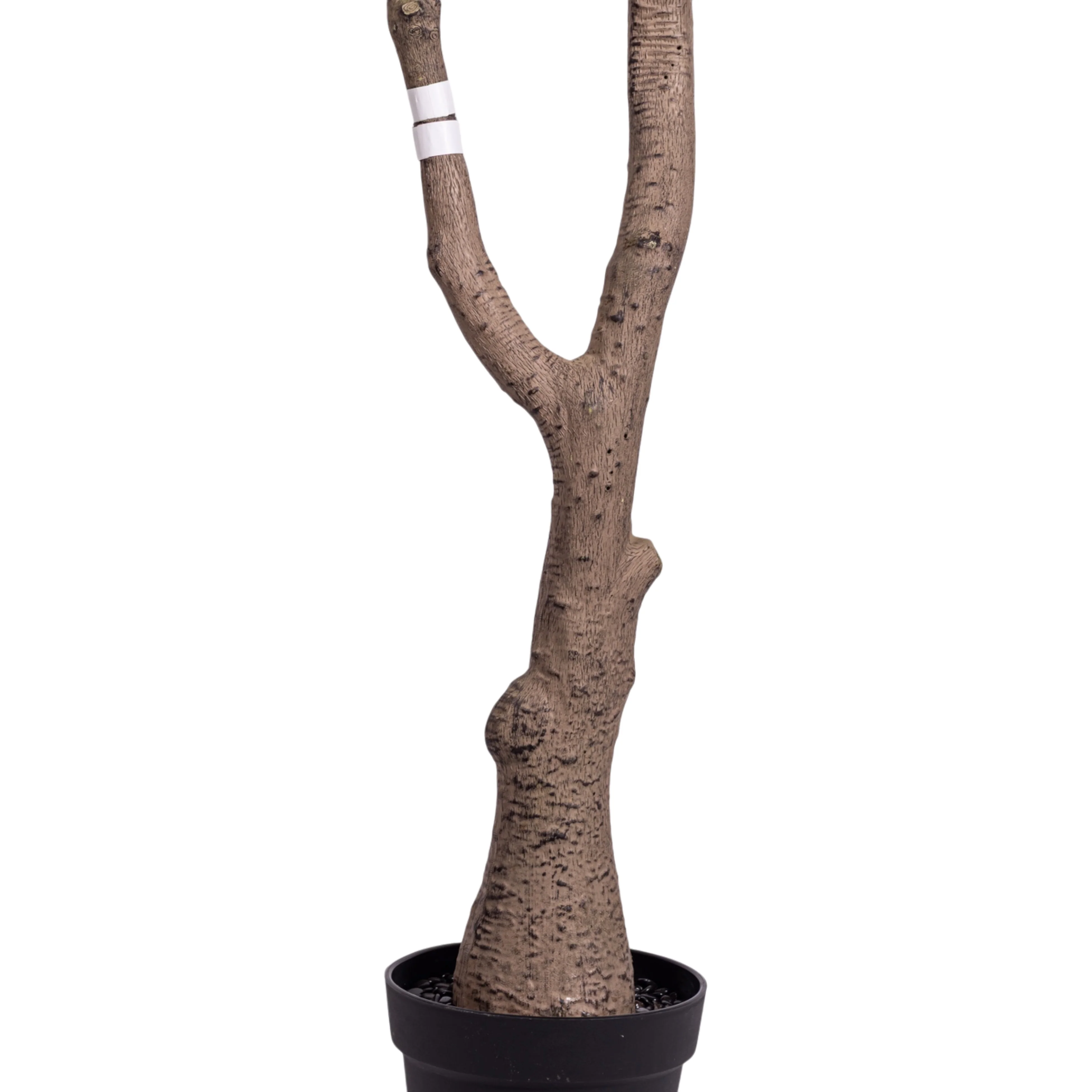 8.5' Gardenia Tree FP1475 - Image 7