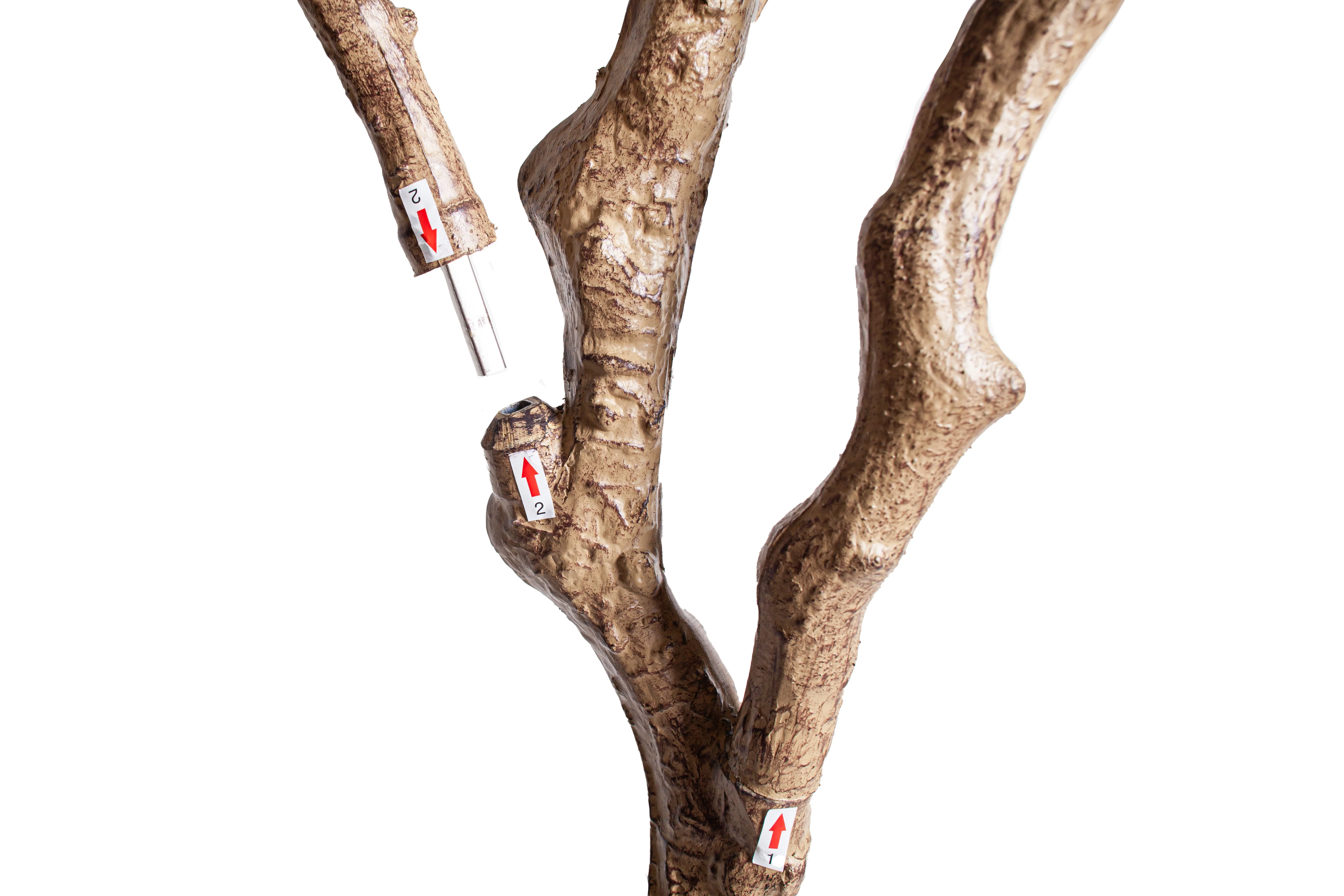 8' Crooked Trunk Olive Tree FP1503 - Image 3