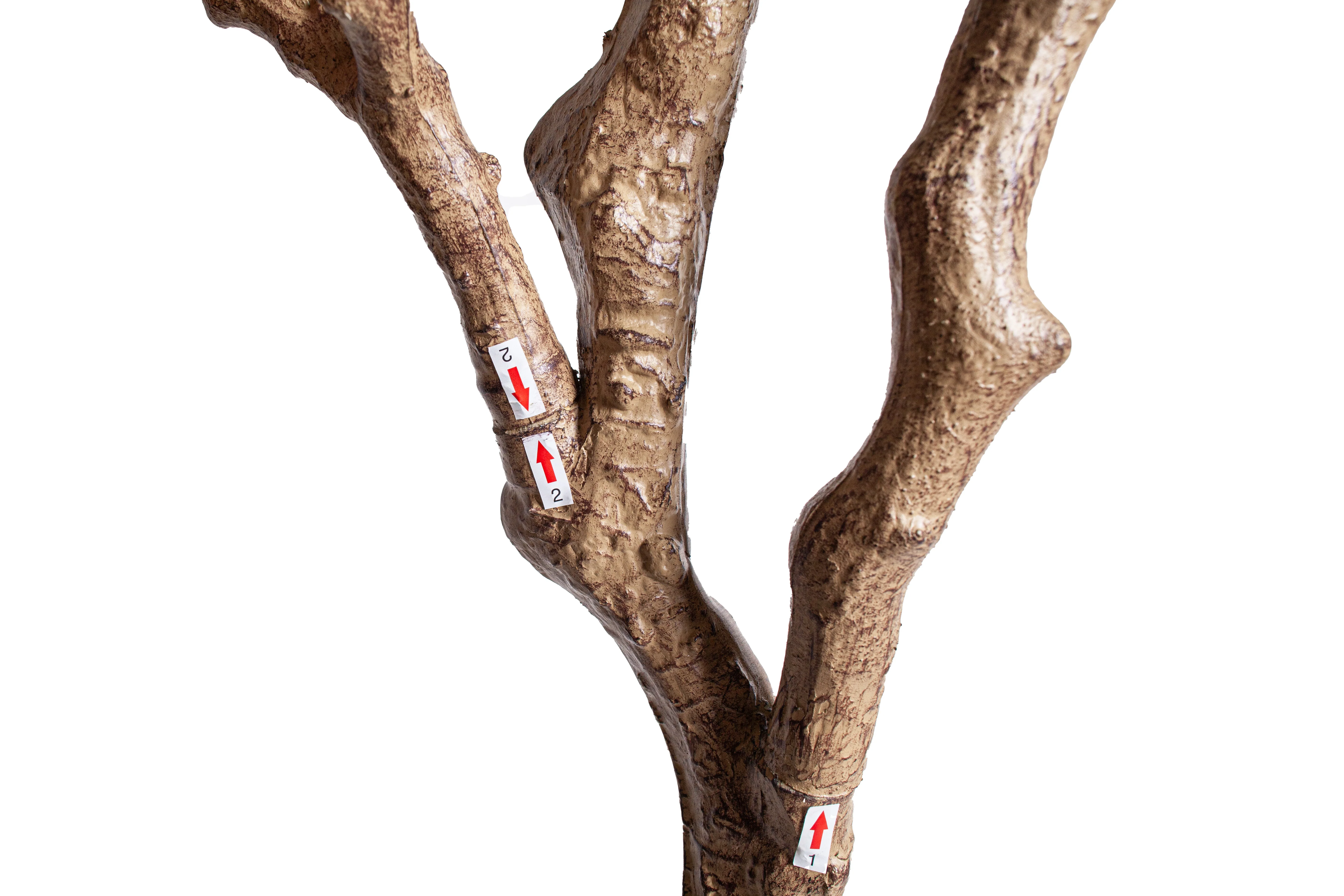 8' Crooked Trunk Olive Tree FP1503 - Image 4
