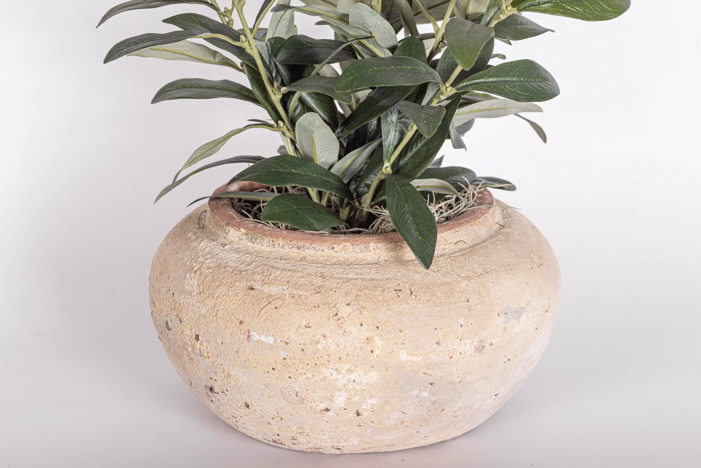 8" Esther Pot with Olive Arrangement AR1991 - Image 2