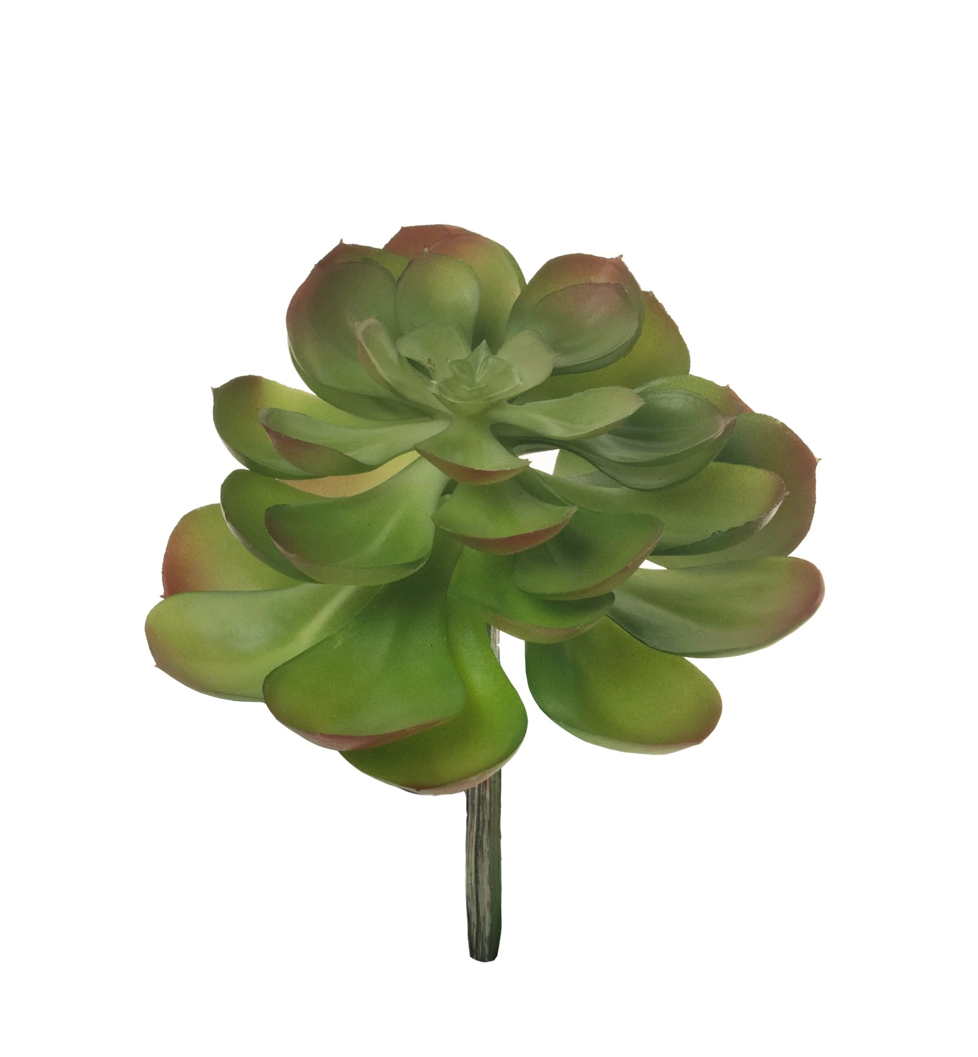 8” Red/Green Succulent Stem   SF1122