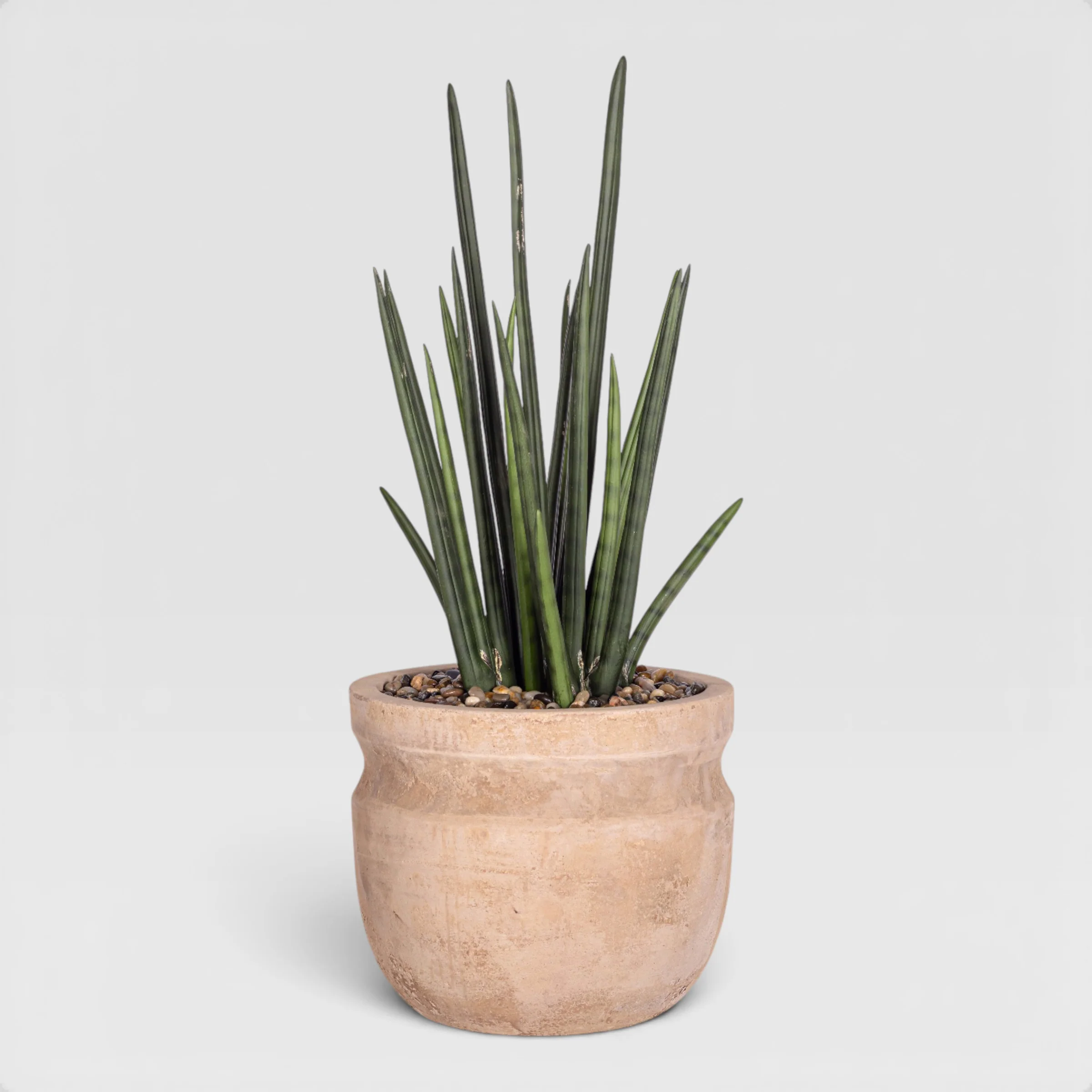 8" Romeo Pot with Snake Stem Arrangement AR1947