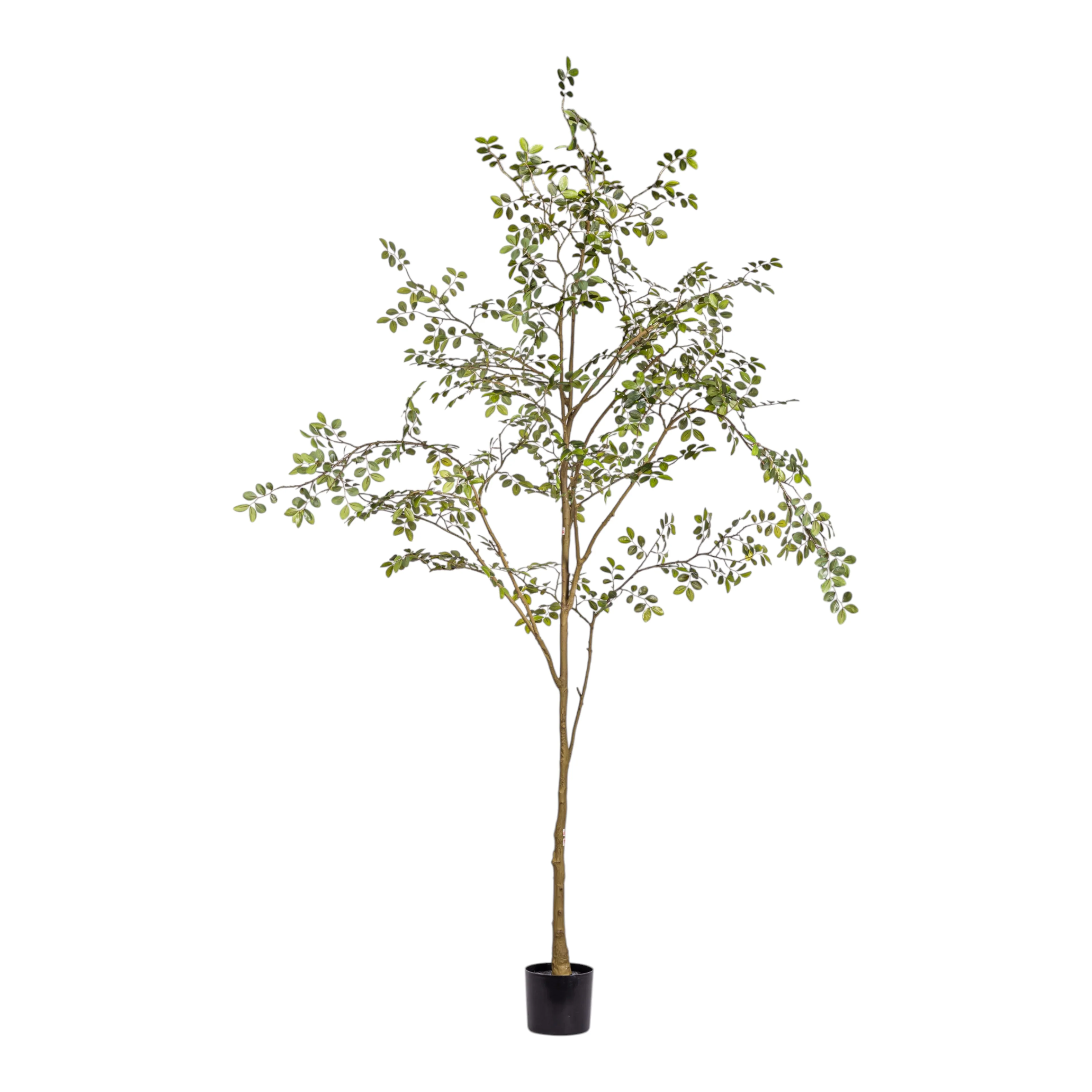 8' Rose Tree FP1473 - Image 10