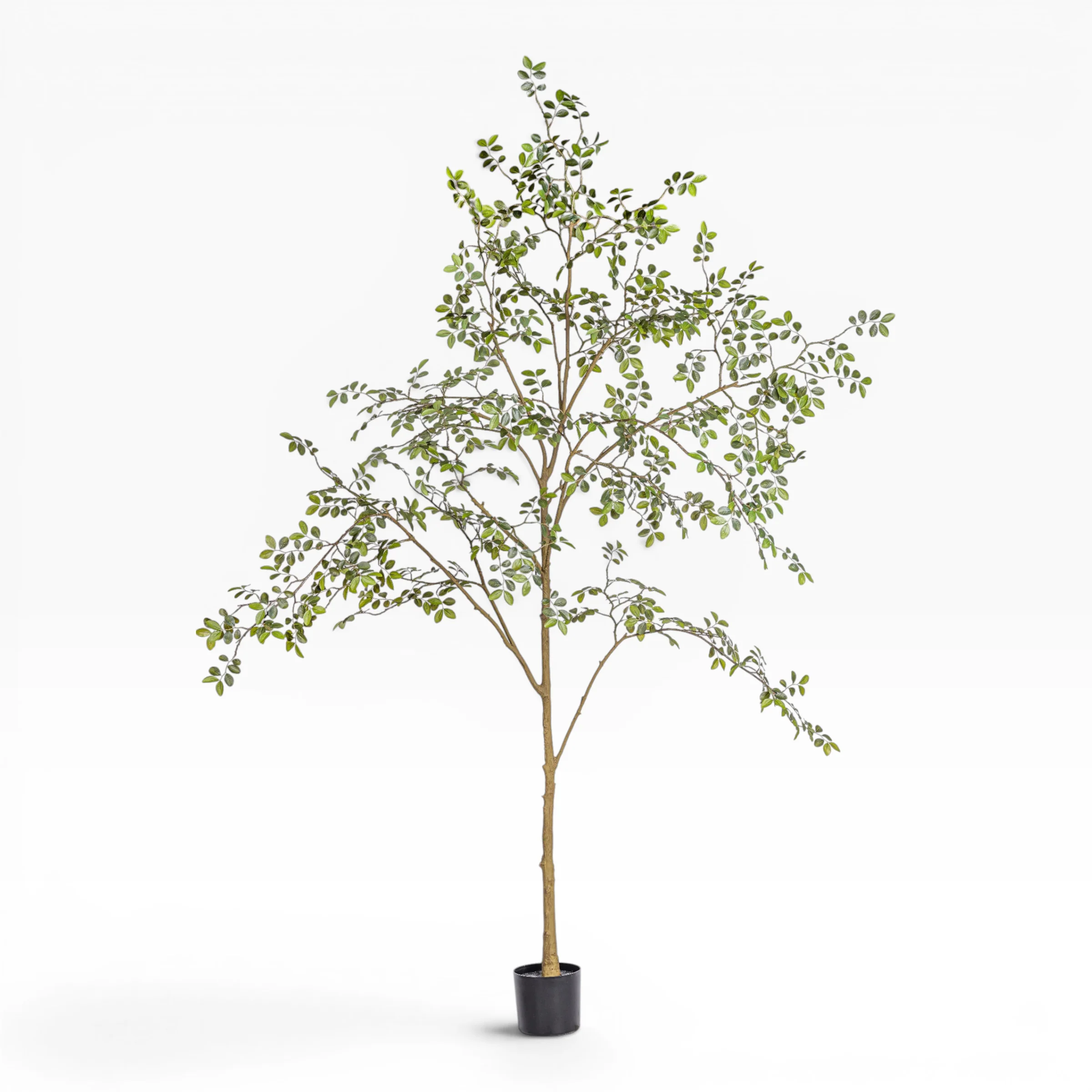 8' Rose Tree FP1473 - Image 11