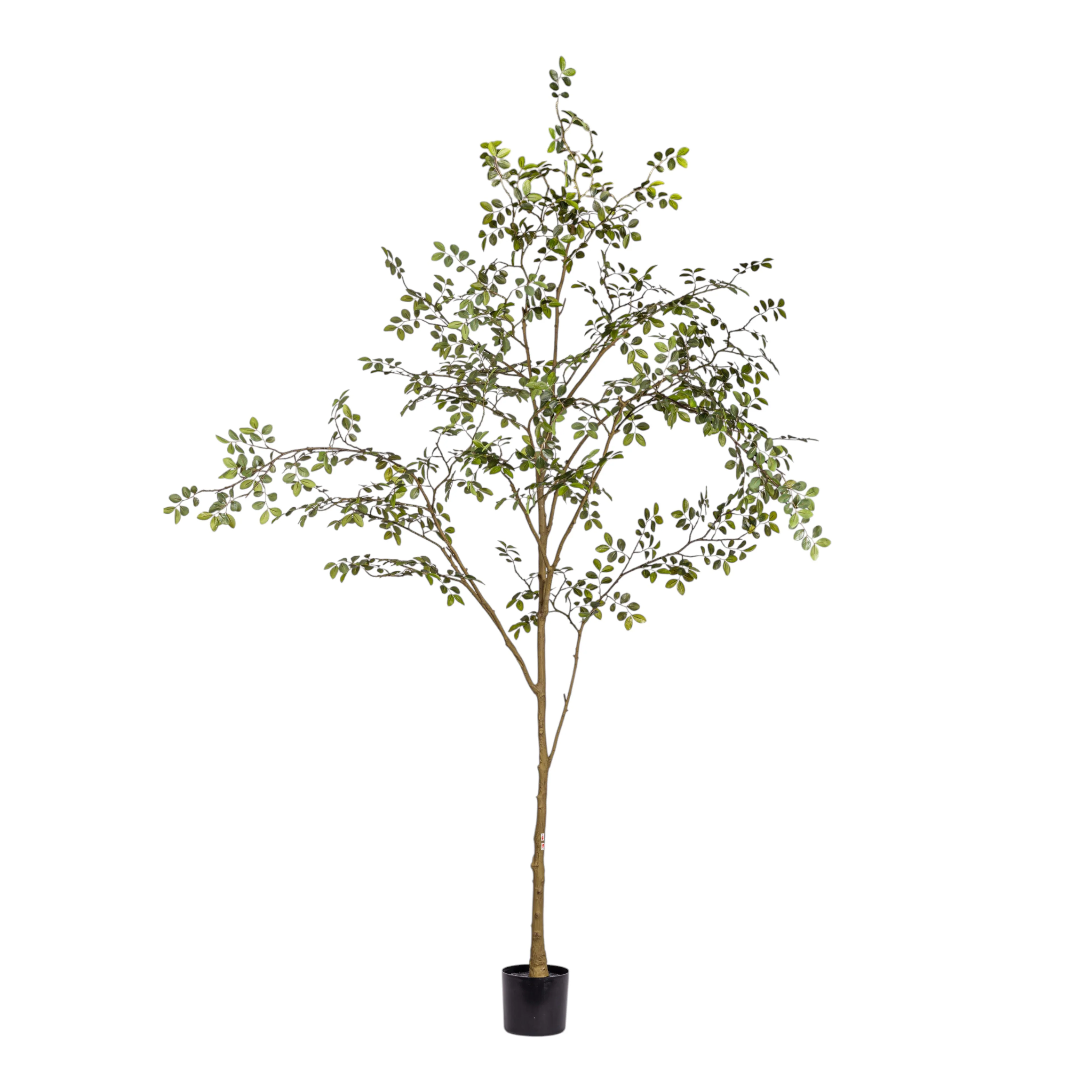 8' Rose Tree FP1473 - Image 9