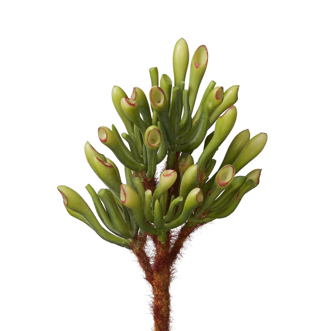 9" Coral Succulent Stem SU1017UV