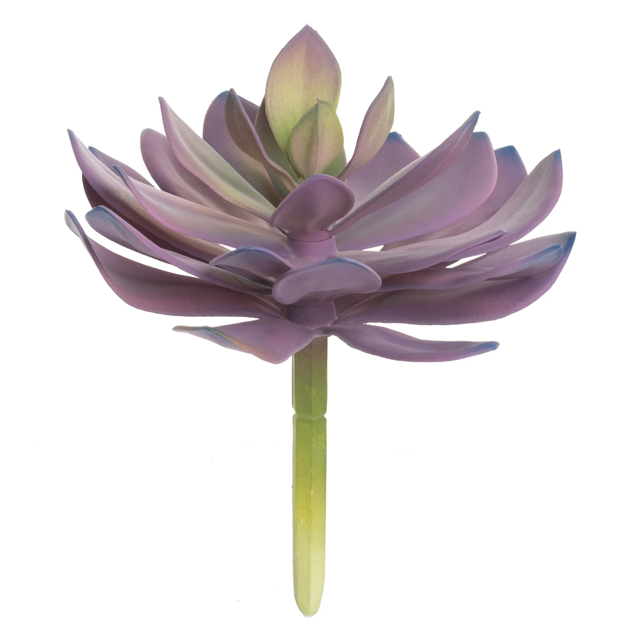 9.5" Succulent   SF1064 - Image 2