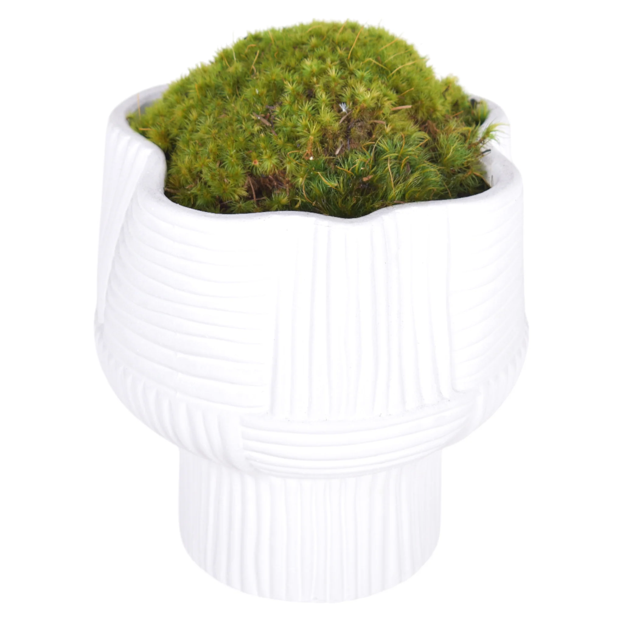 7.5" Turin Pot with Mood Moss Arrangement   AR1038 - Image 2