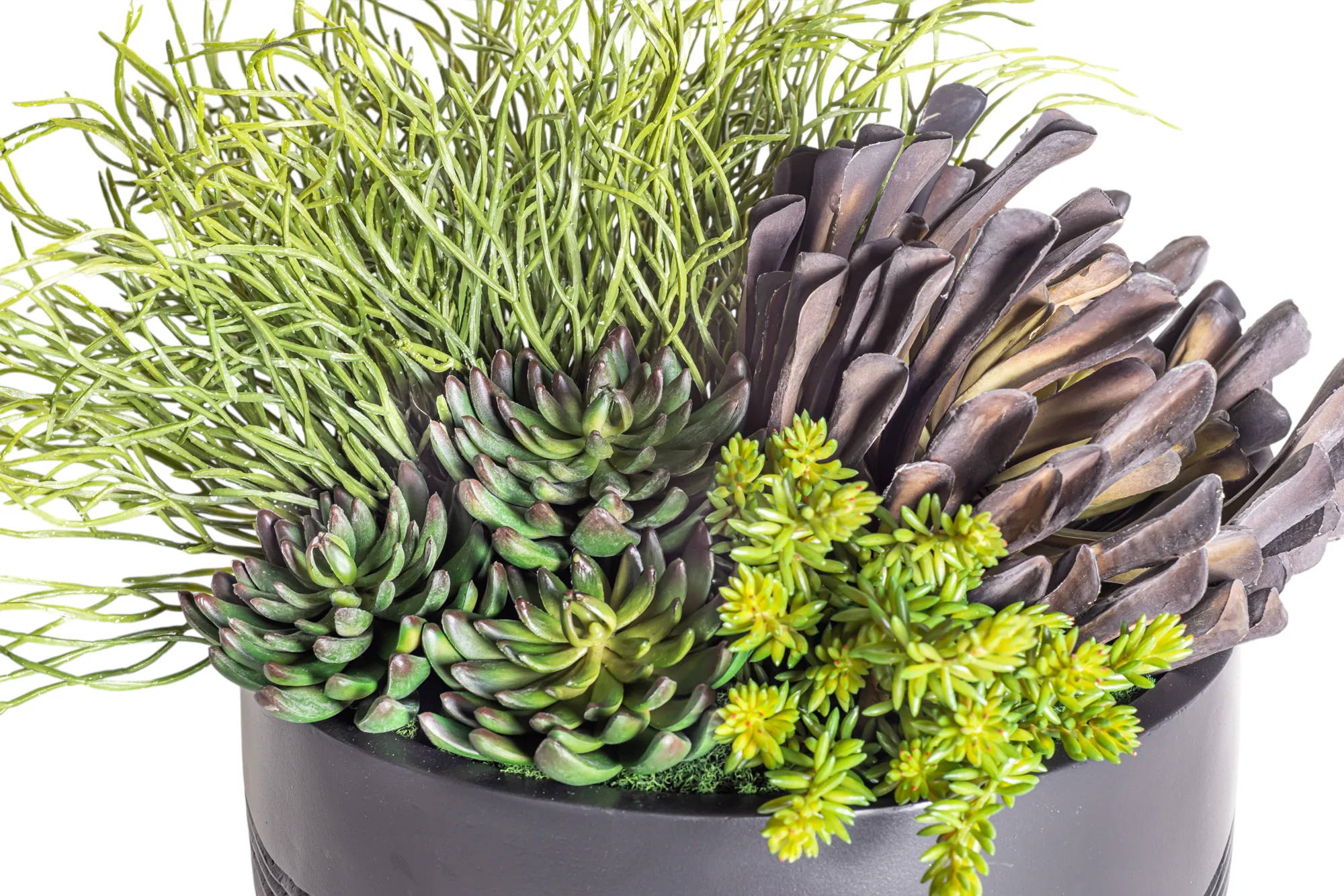 14" Ryker Bowl with Mixed Succulent Arrangement AR1182 - Image 3