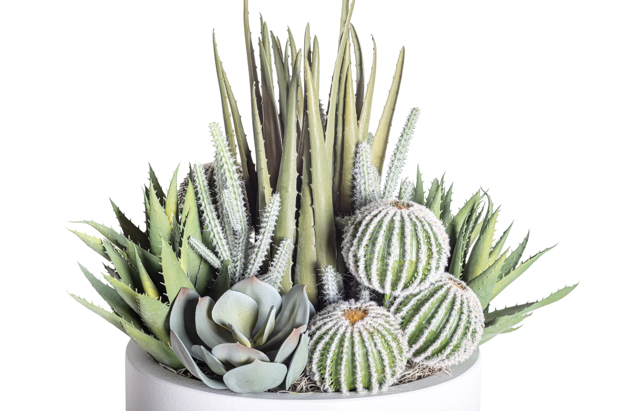 12" White Mack Compote with Mixed Cactus Arrangement AR1194 - Image 2