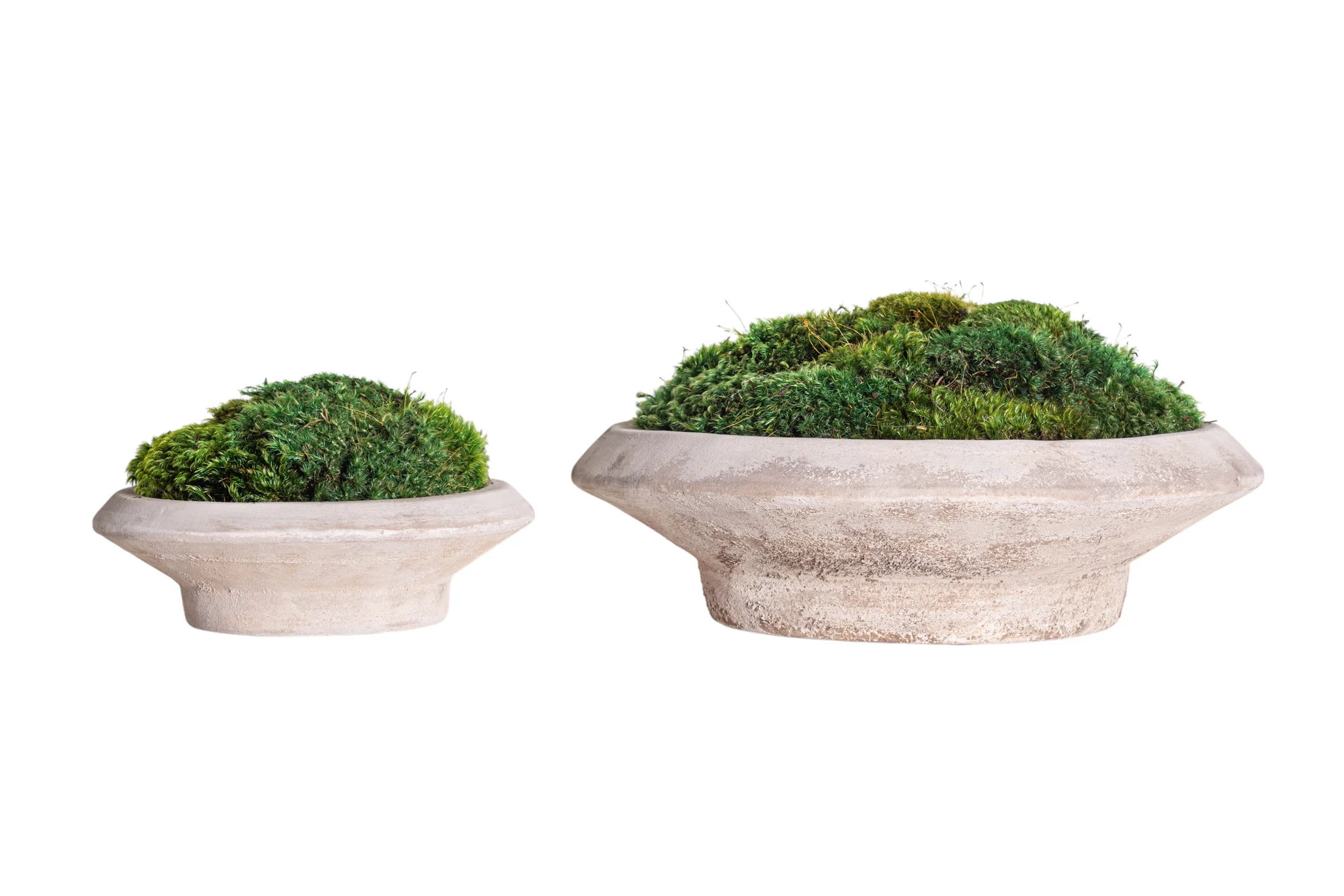 12" Sayulita Footed Saucer with Mood Moss Arrangement AR1279 - Image 2