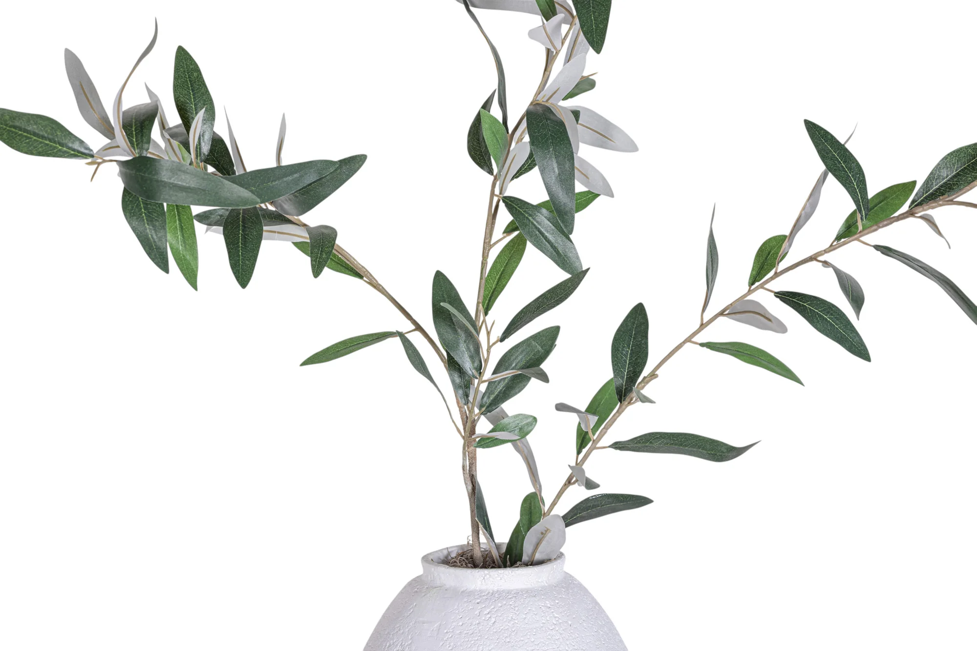 11" Jana Pot with Olive Branch Arrangement AR1325 - Image 3