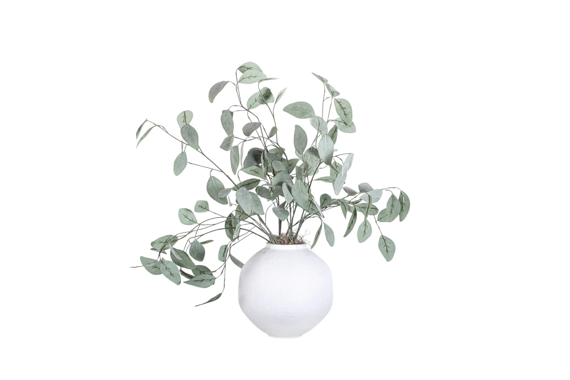 10" Nova Pot with Eucalyptus Arrangement AR1352 - Image 2