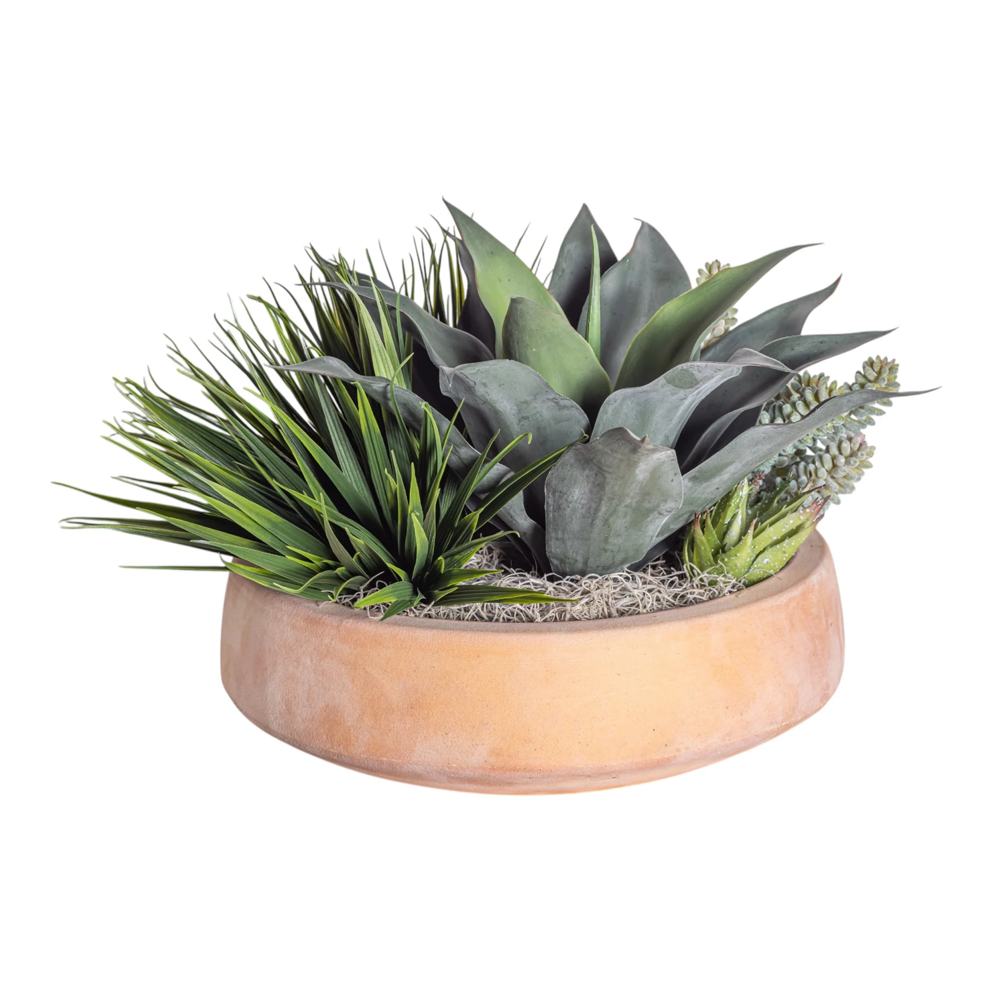 Mixed Succulent Arrangement in Terracotta Mack Bowl AR1374 - Image 2