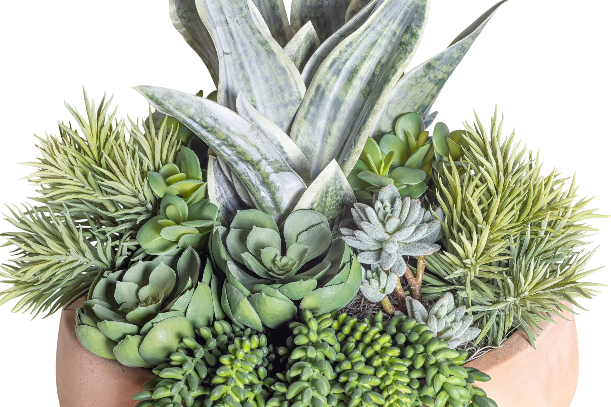 Mixed Succulent Arrangement in Terracotta Mack Bowl AR1375 - Image 3