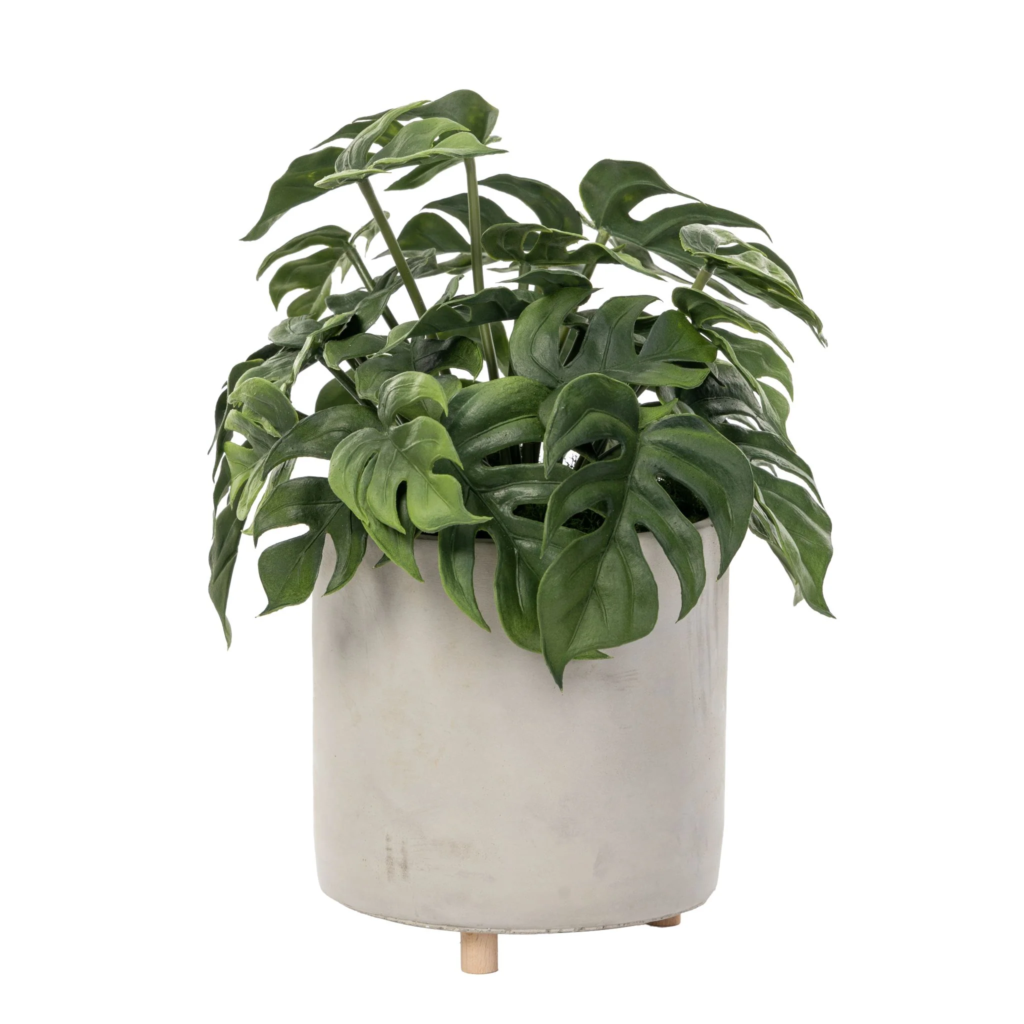 13.5" Philodendron Bush in Corbin Pot AR1572