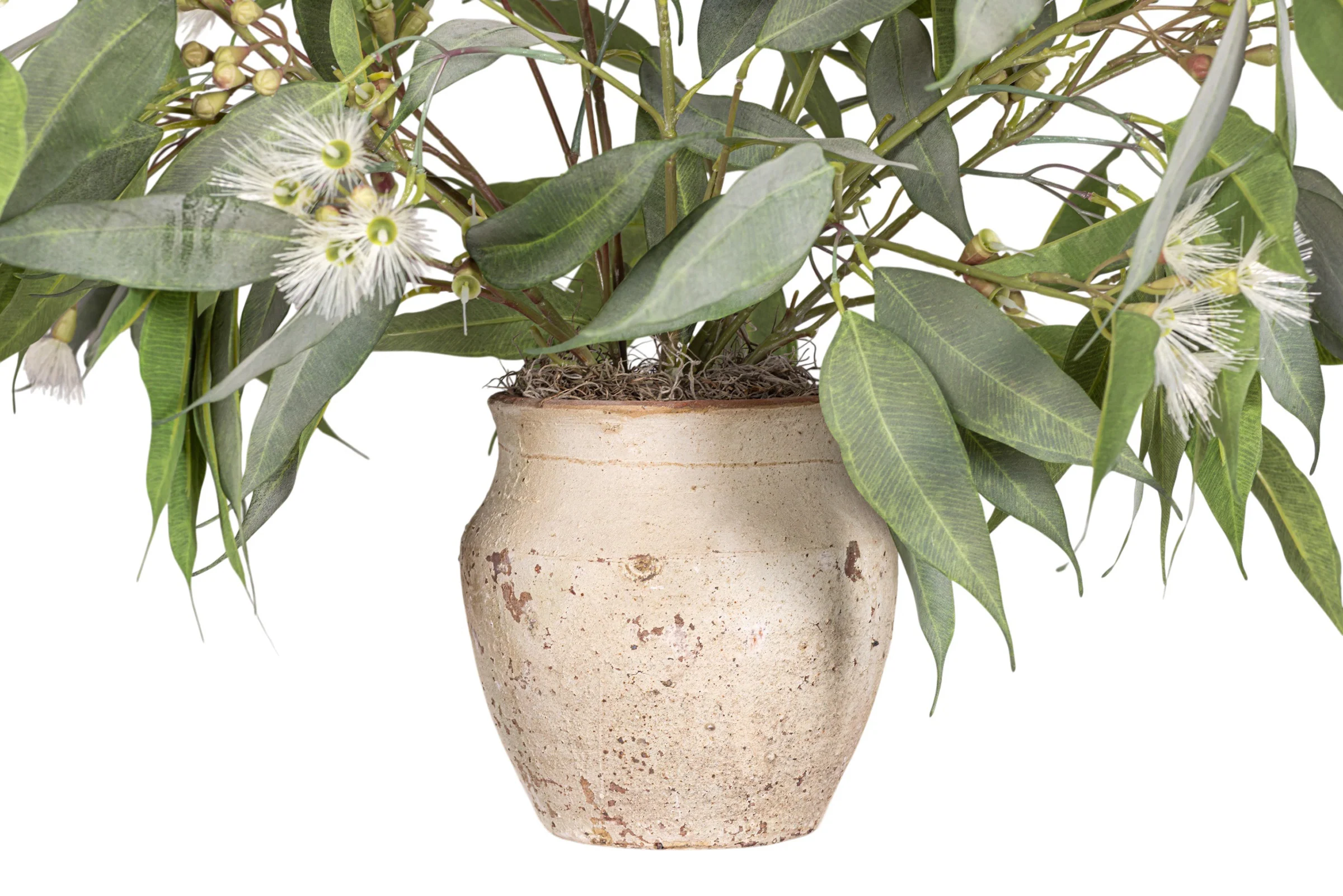 45" Titan Pot with Eucalyptus Arrangement AR1948 - Image 3