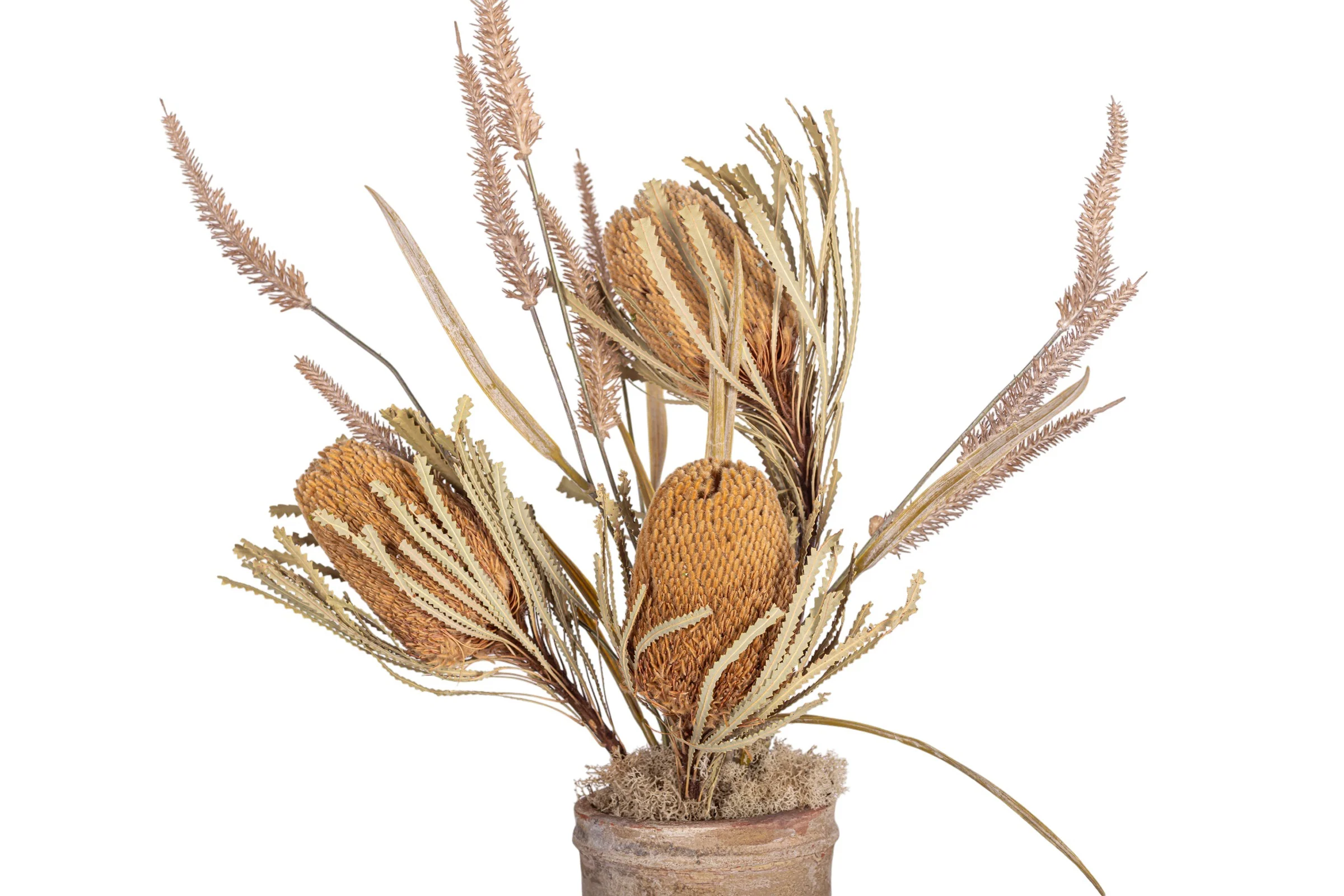 19" Rue Pot with Dried Protea Arrangement AR1950 - Image 2