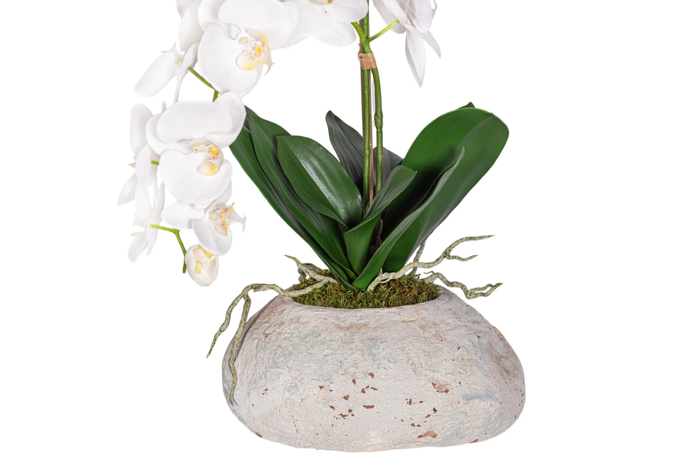 20" Skye Pot with Orchid Arrangement AR1958 - Image 3