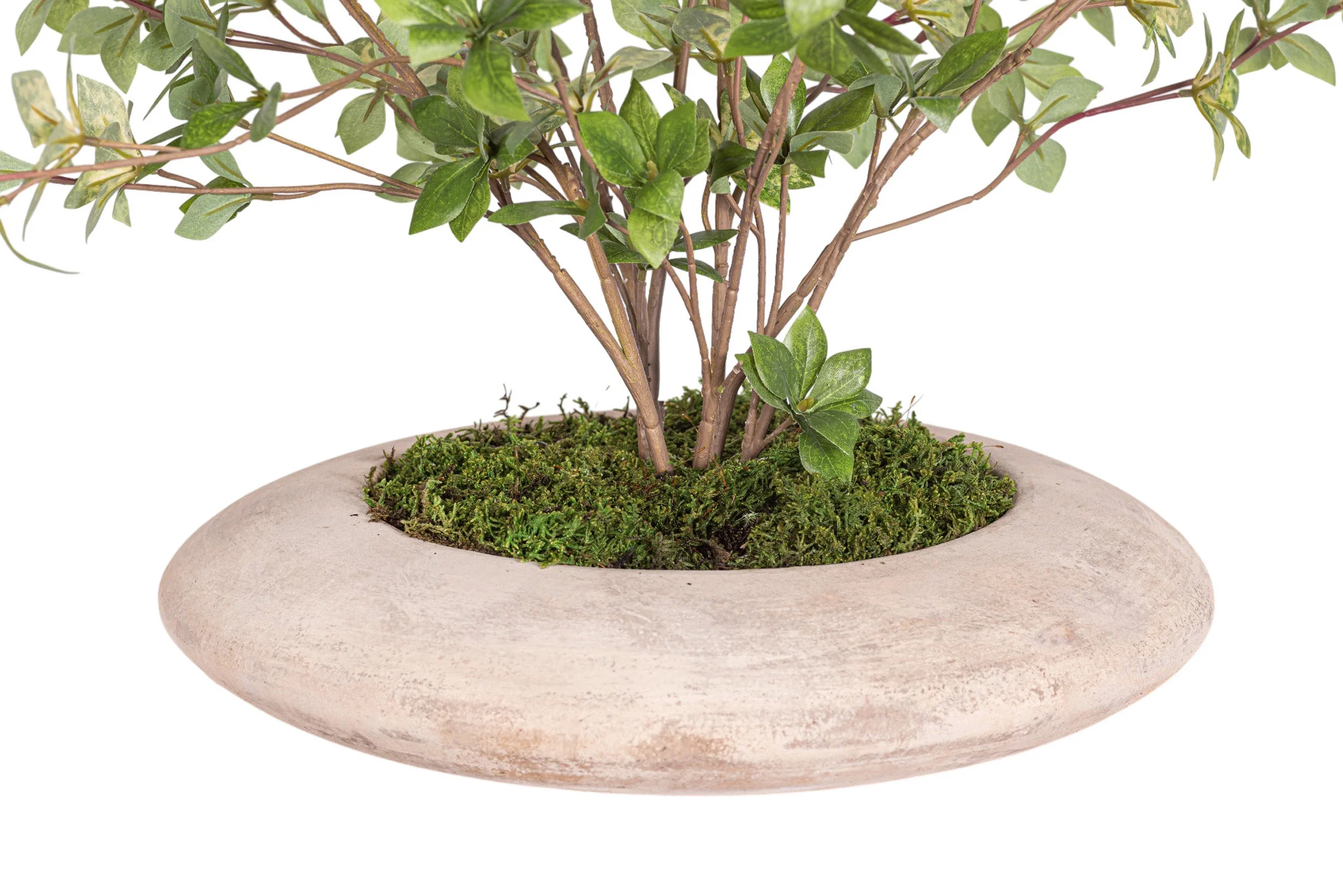 29" Flying Saucer with Greenery Arrangement AR1962 - Image 2