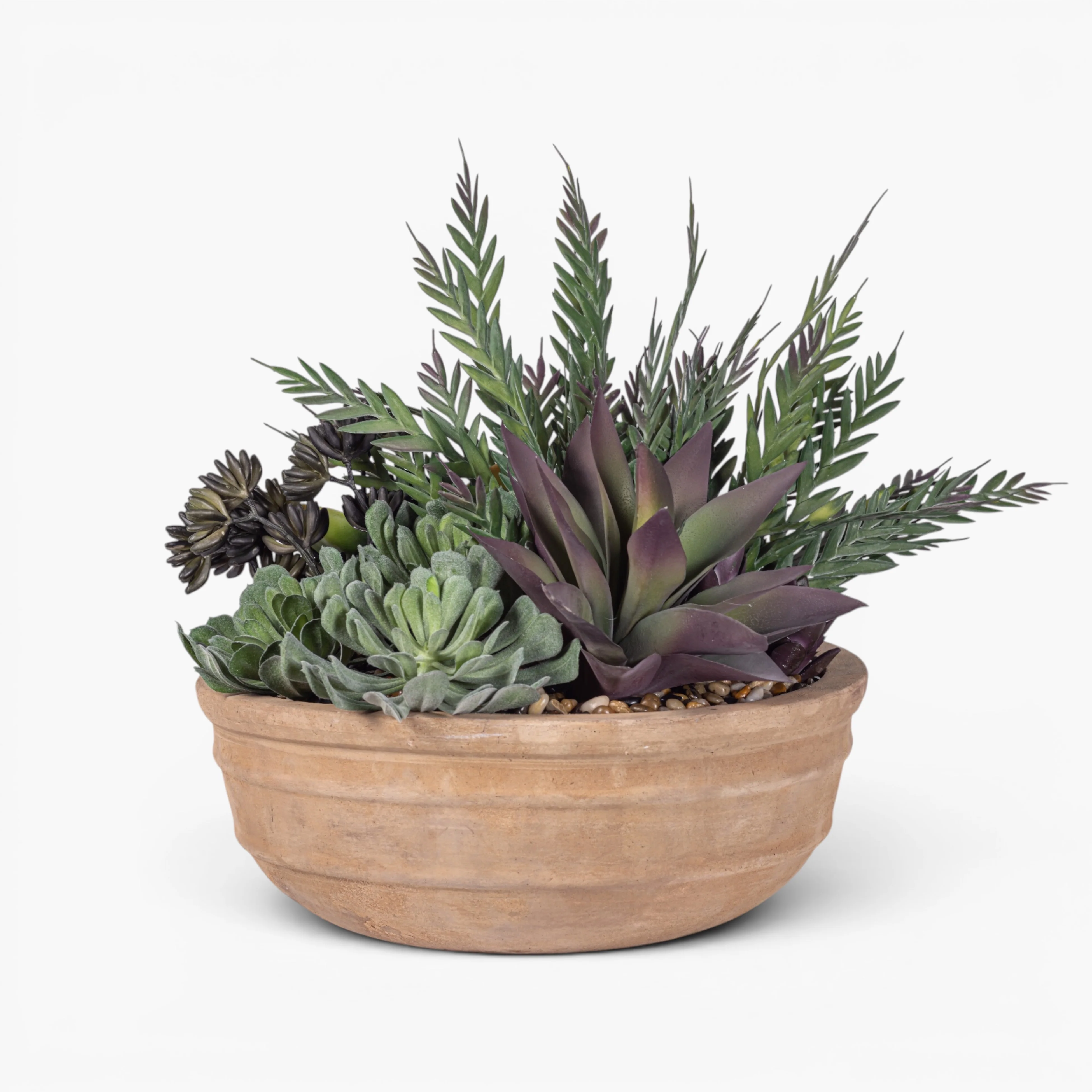Suri Bowl with Mixed Succulent Arrangement AR1976 - Image 2