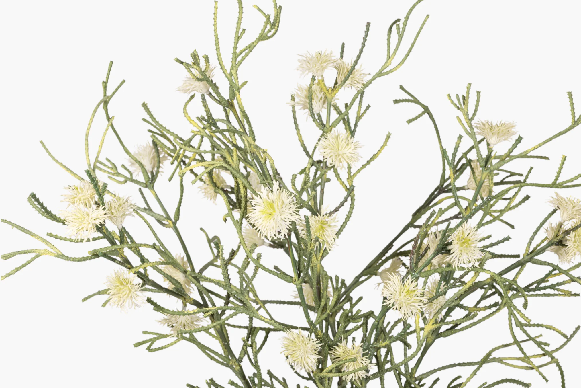 Esther Pot with Spider Flower Arrangement AR1979 - Image 3