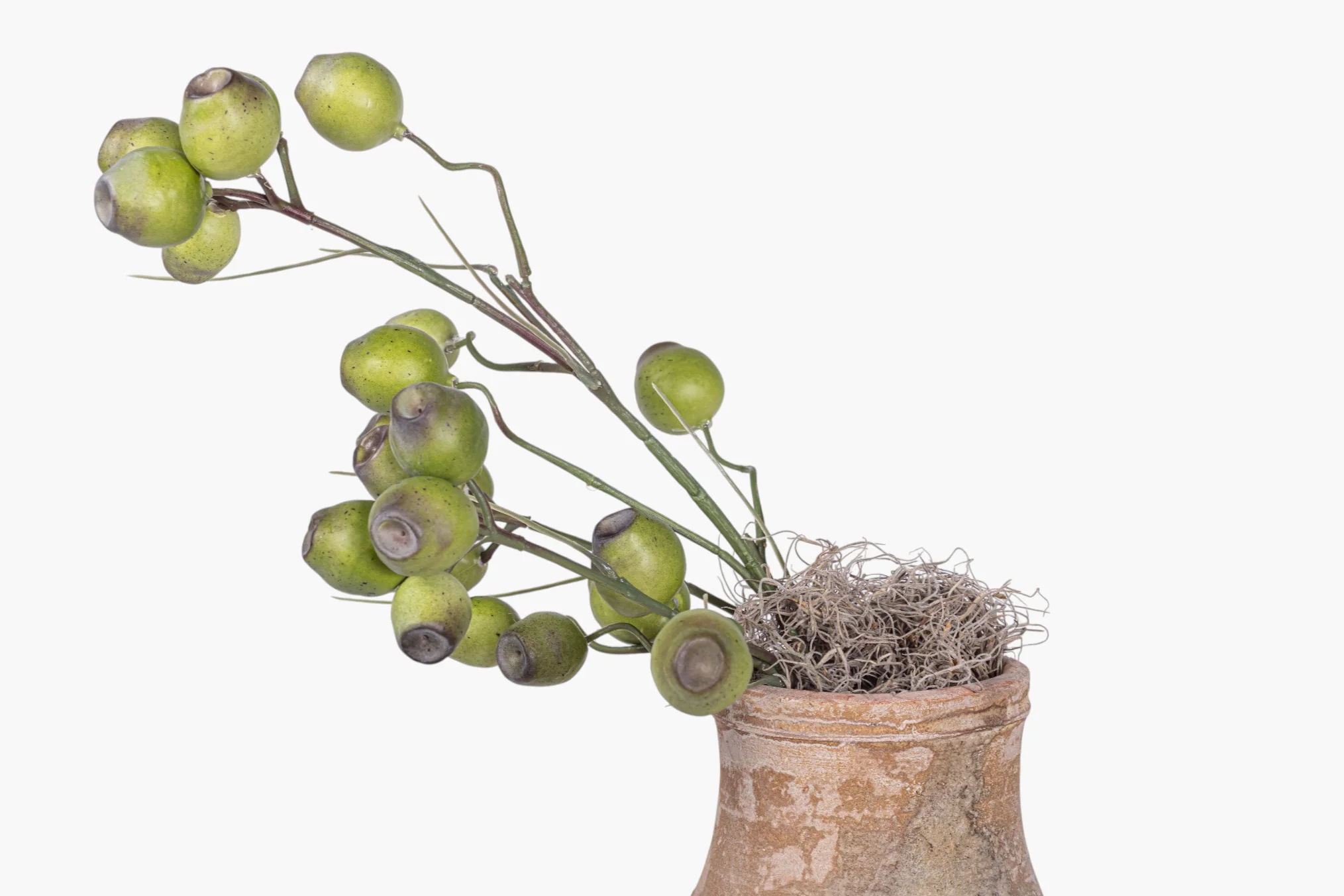 Rue Vase with Eucalyptus Seed Arrangement AR1984 - Image 2