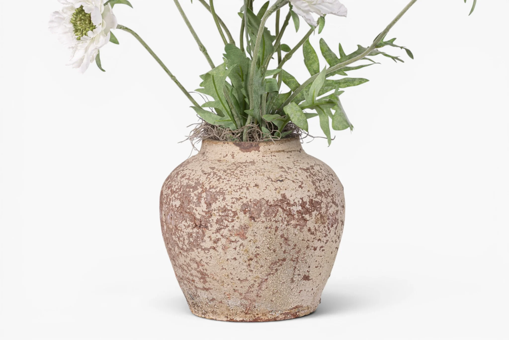 Haley Pot with Scabiosa Floral Arrangement AR1990 - Image 3