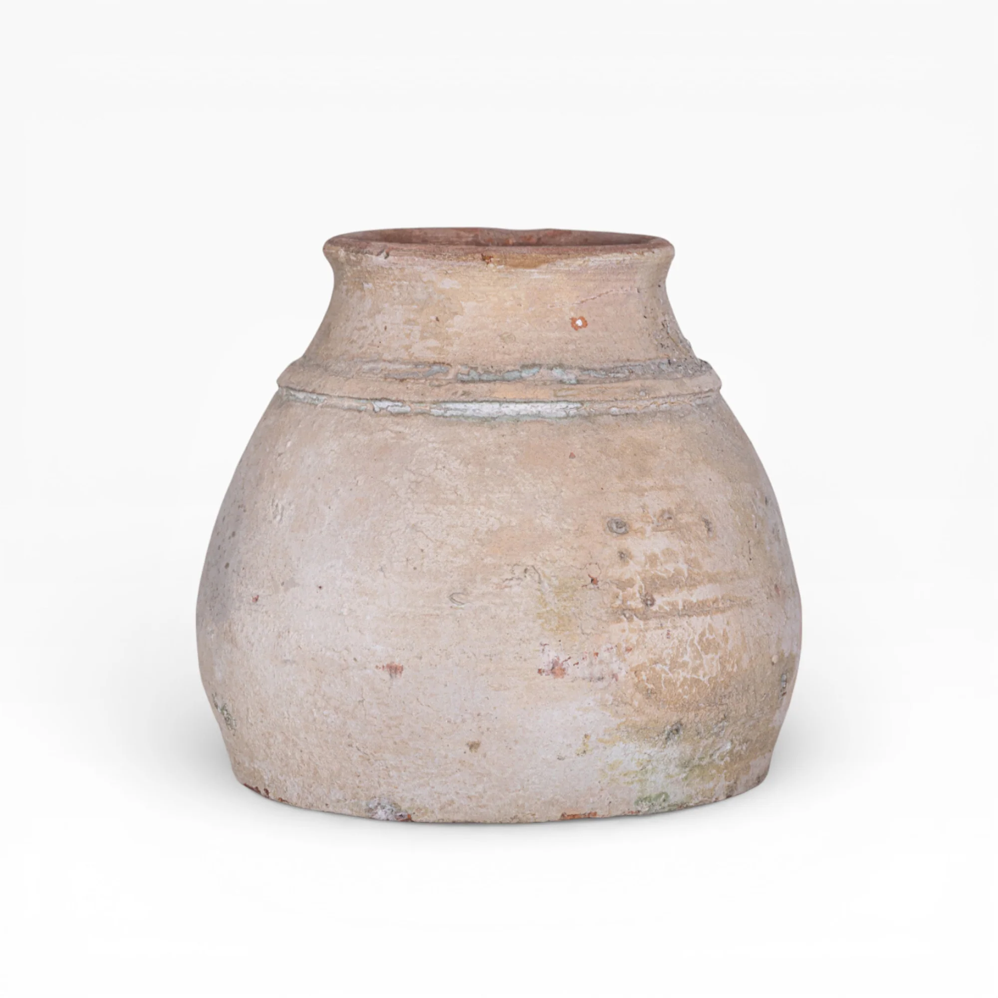 Aster Pot Collection CN1410 - Image 3