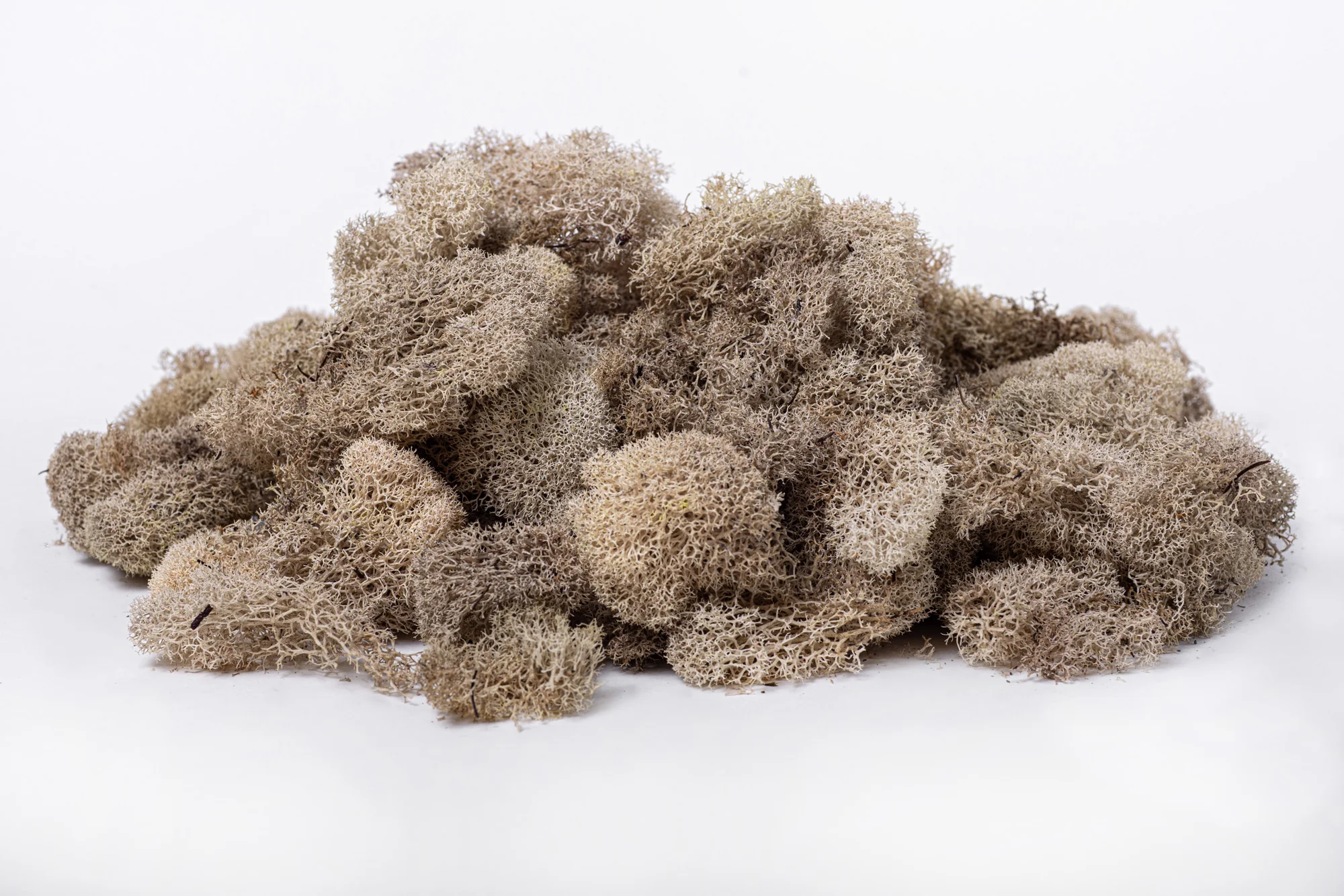“Basketizing” - Foam with Rock or Moss Covering - 10-14"H - Image 9