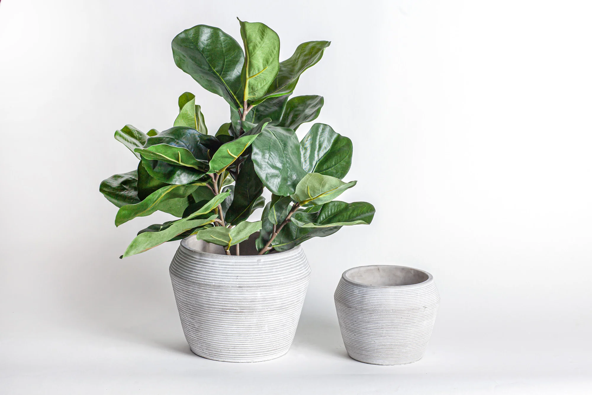 Grayson Pot Collection   CN1086 - Image 2