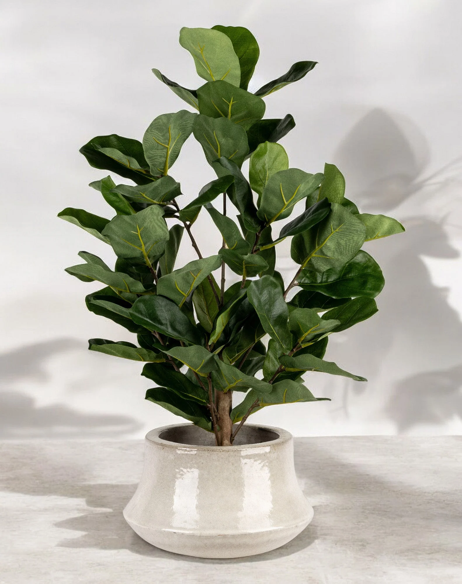 Tulip Planter   CN1266 - Image 7