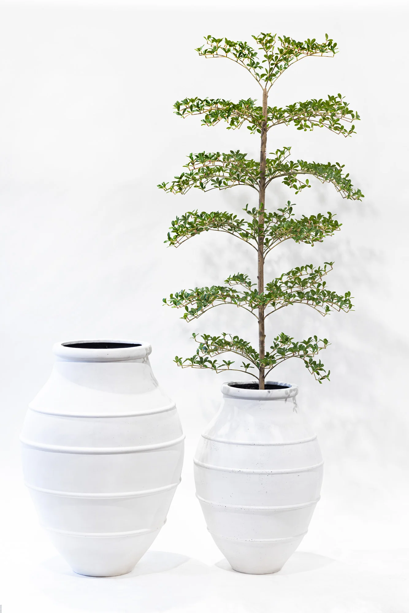 Croft Planter Collection - White CN1313 - Image 6
