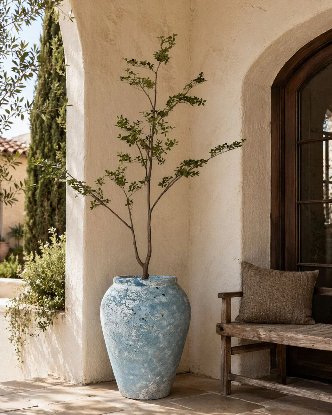 Calypso Planter Collection  CN1376 - Image 3