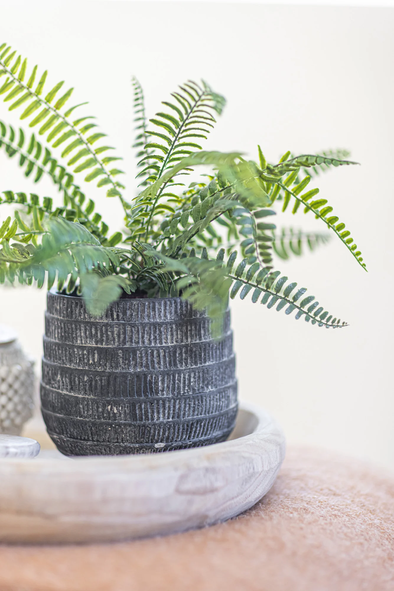 14" Drop In Boston Fern Plant PP1040 - Image 2