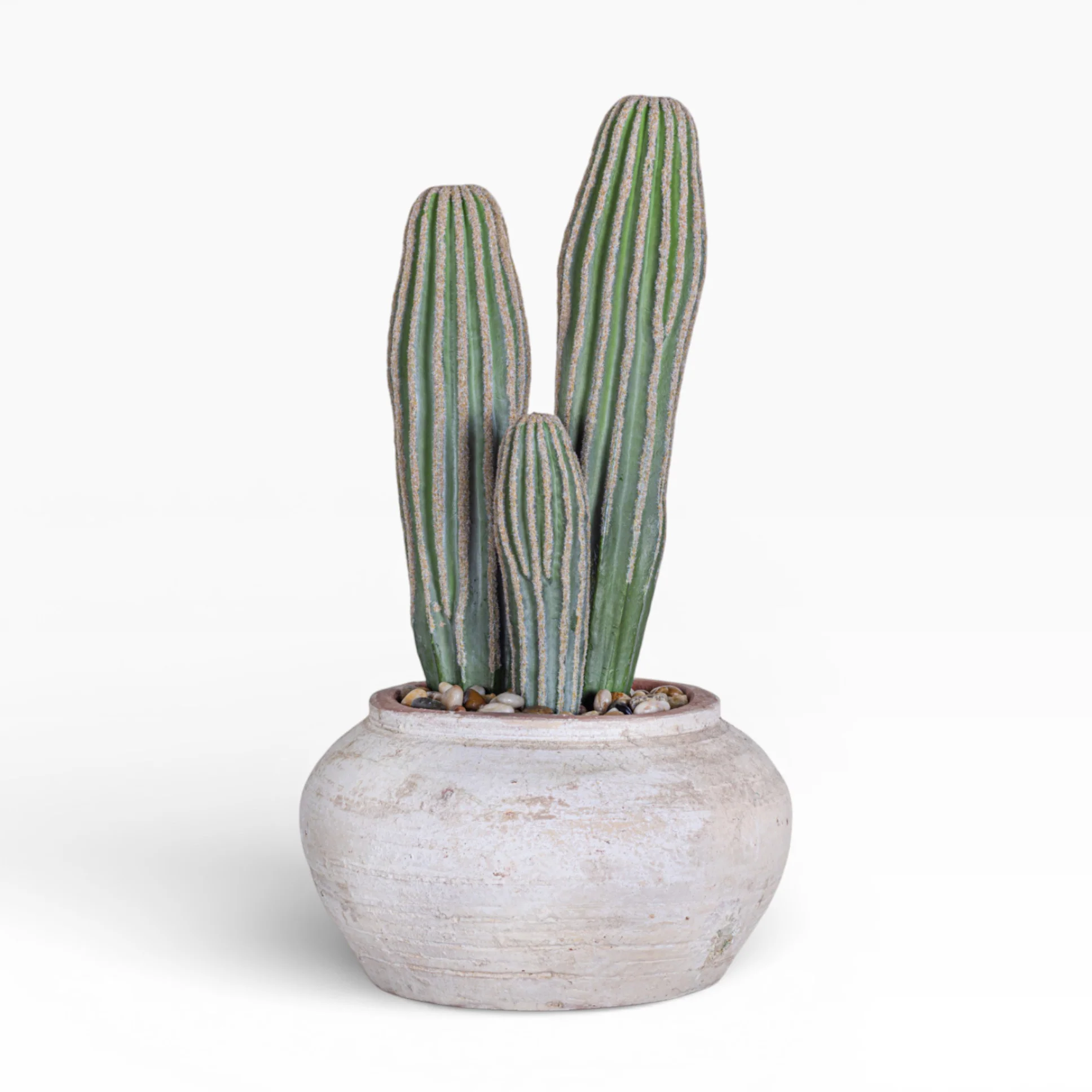 8" Esther Pot with Cactus Arrangement AR1389