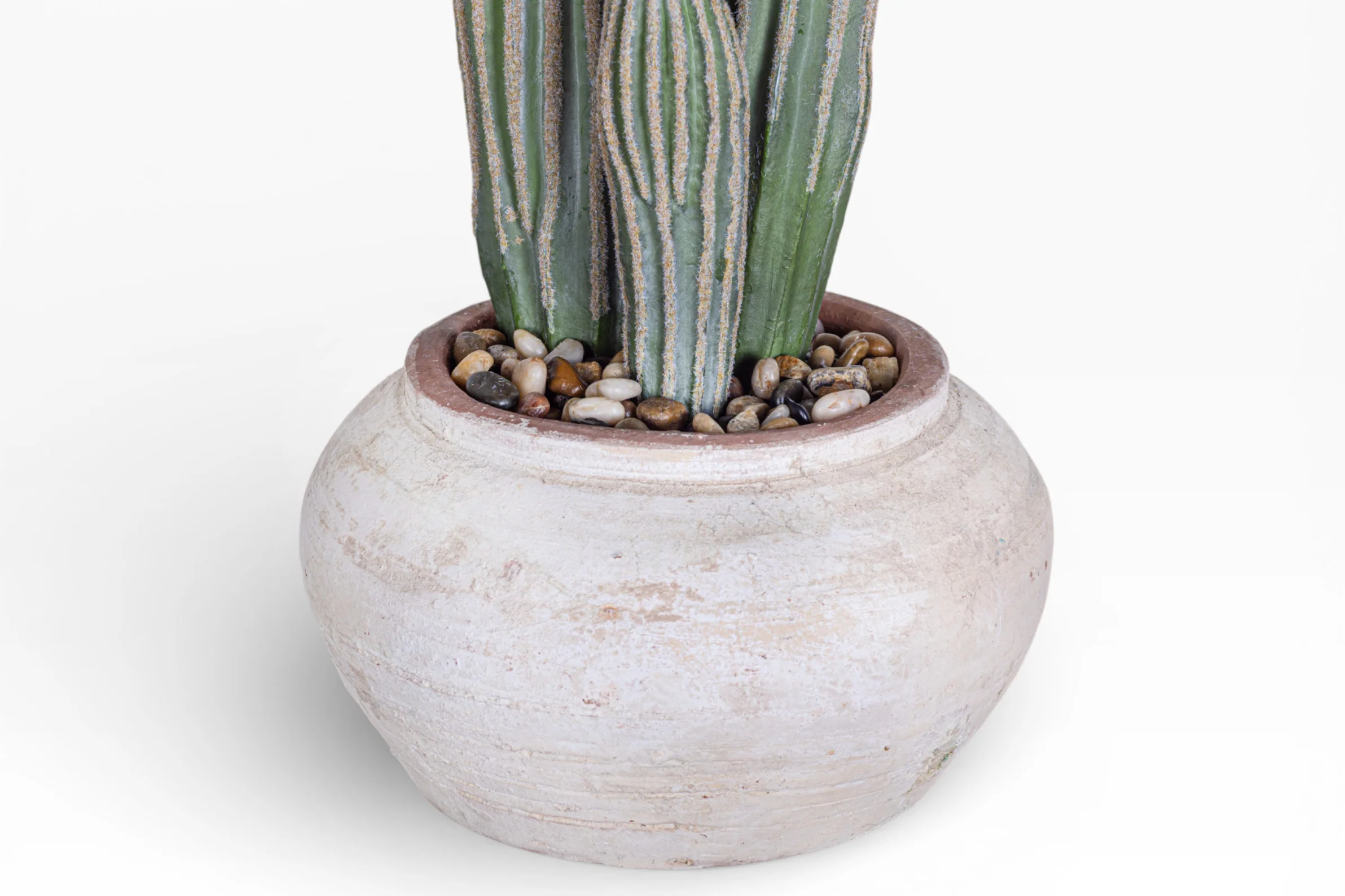 8" Esther Pot with Cactus Arrangement AR1389 - Image 2
