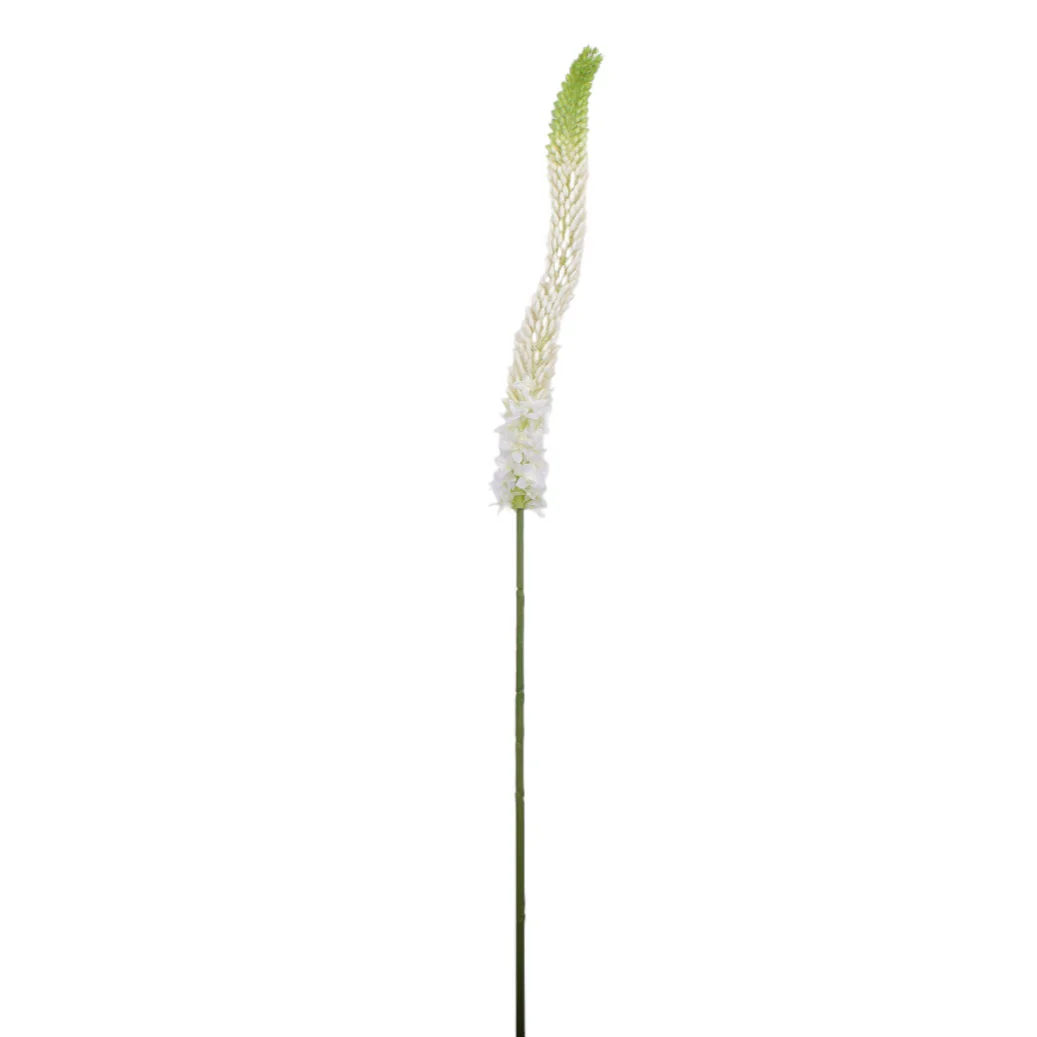 44" Foxtail Lily - UV Treated FL1057UV
