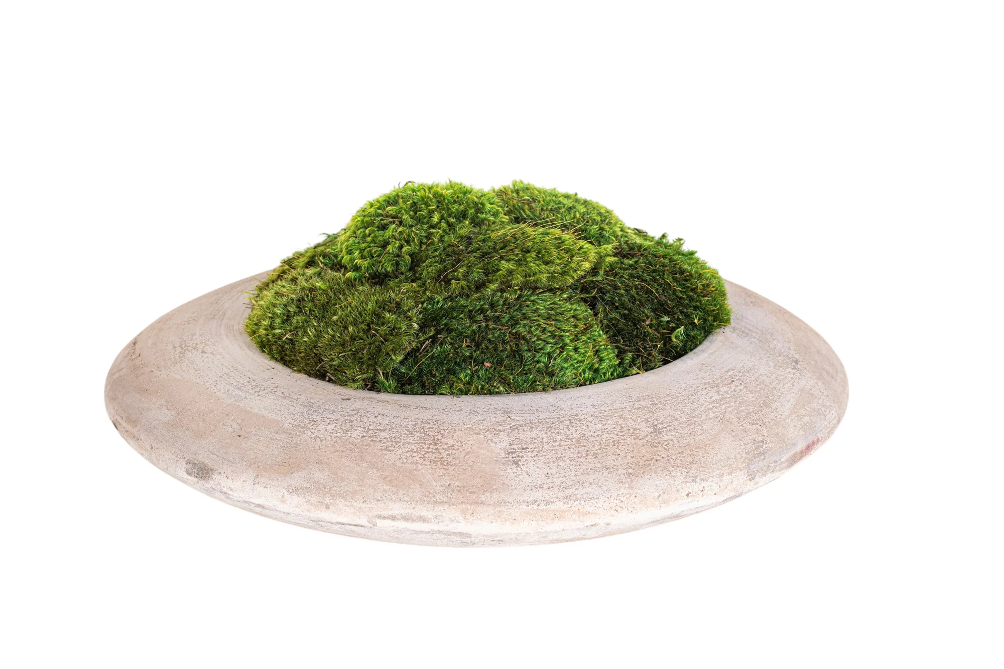 Flying Saucer Bowl Collection   CN1322 - Image 7