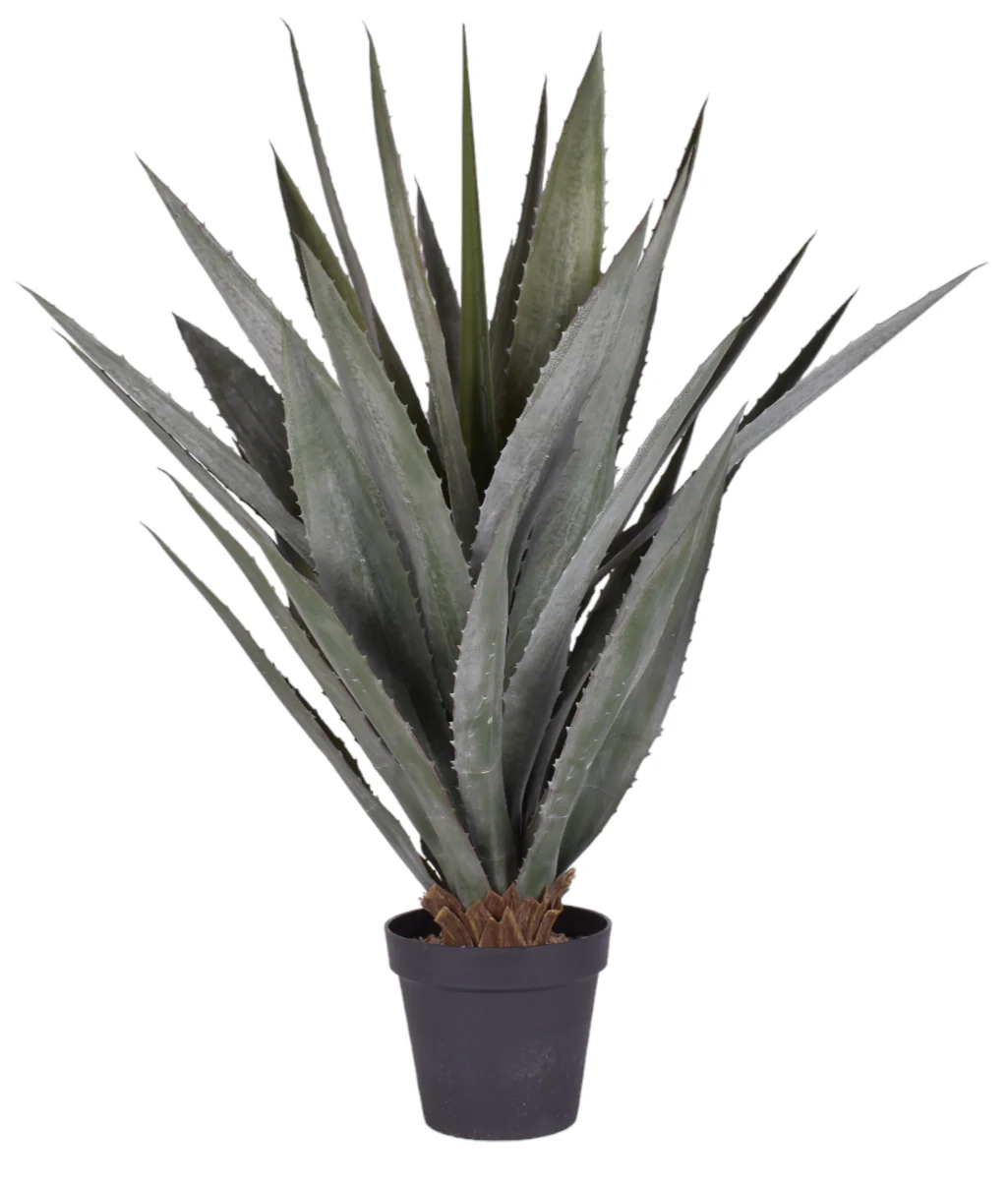 45" Aloe Plant - UV Treated FP1274UV