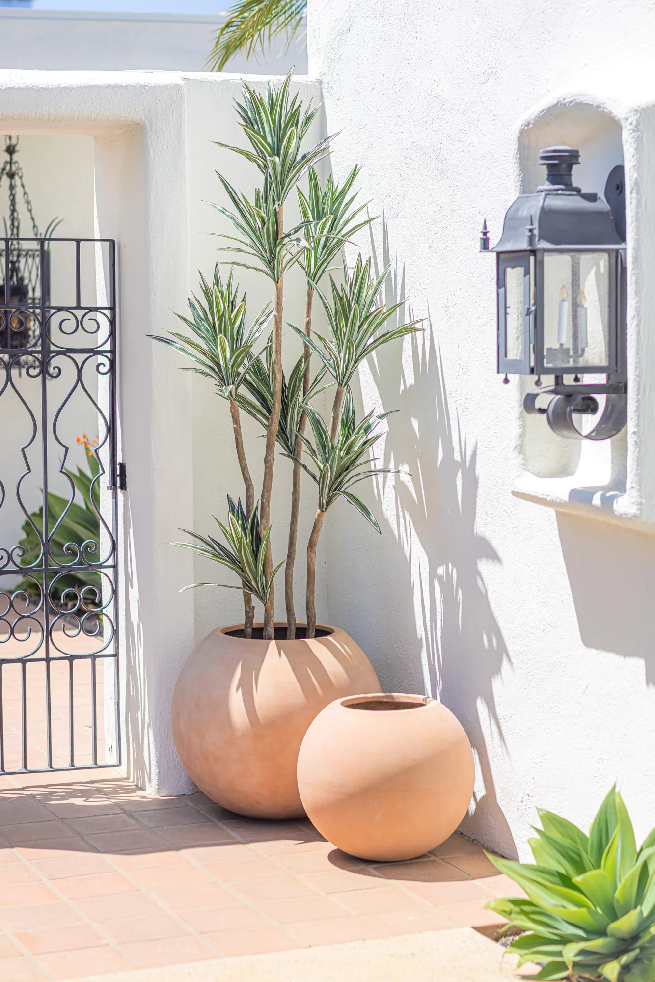 7' Dracaena Tree - UV Treated FP1286 - Image 2