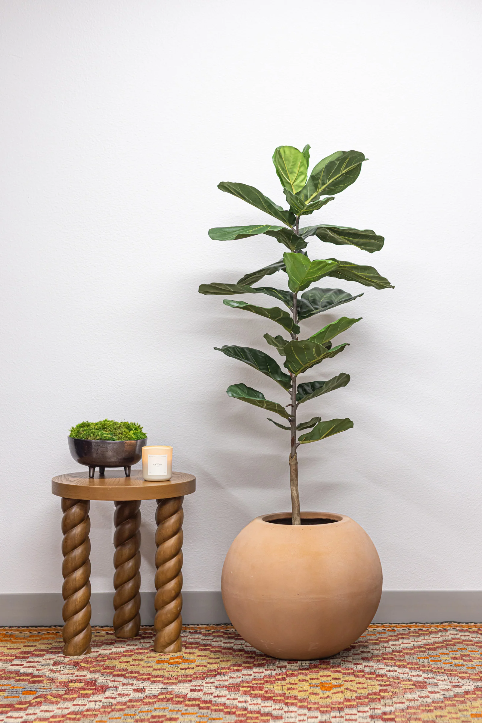 5' Fiddle Leaf Fig Tree - UV Treated FP1290 - Image 3
