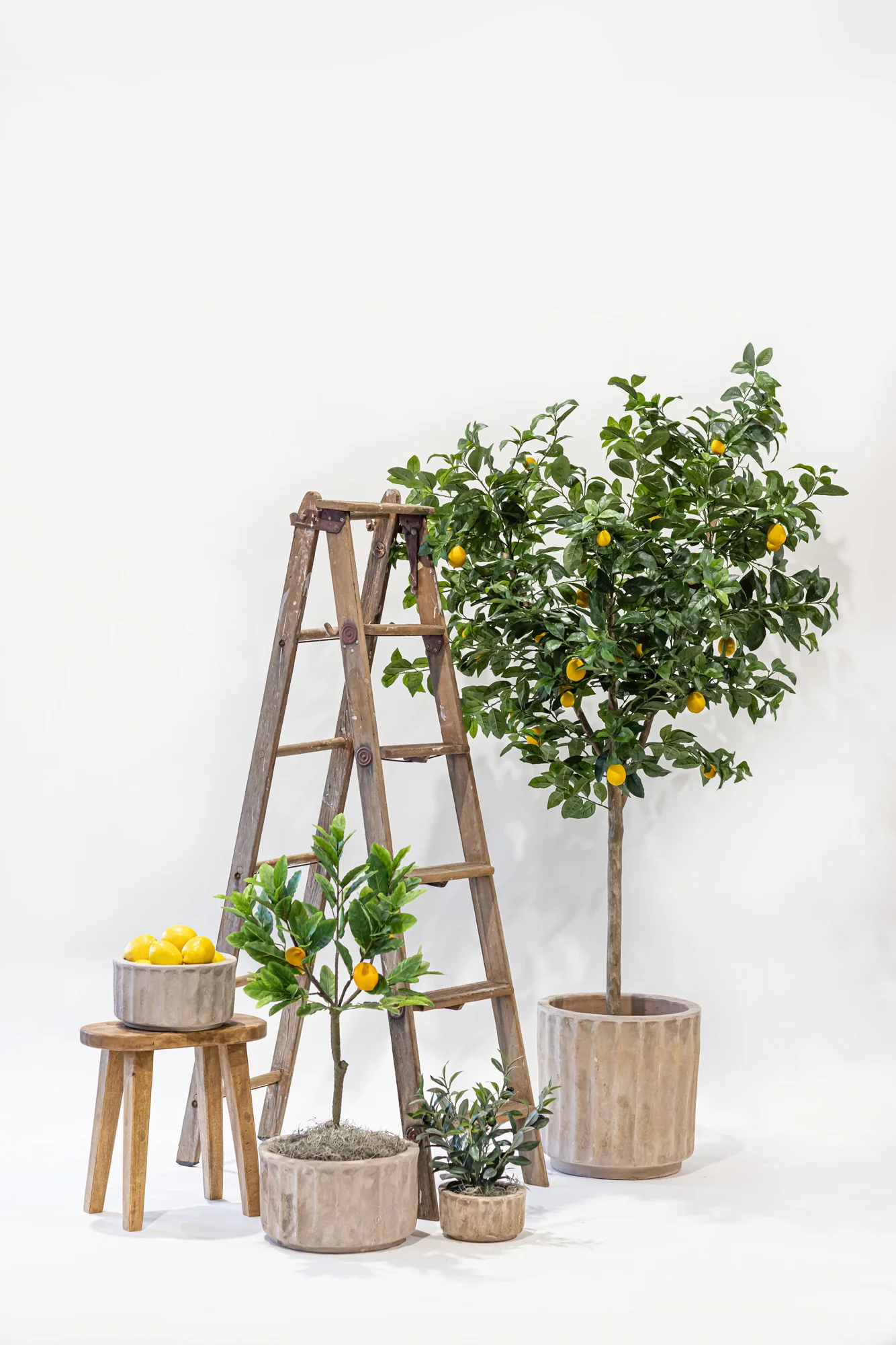7’ Lemon Tree - UV Treated FP1293 - Image 4