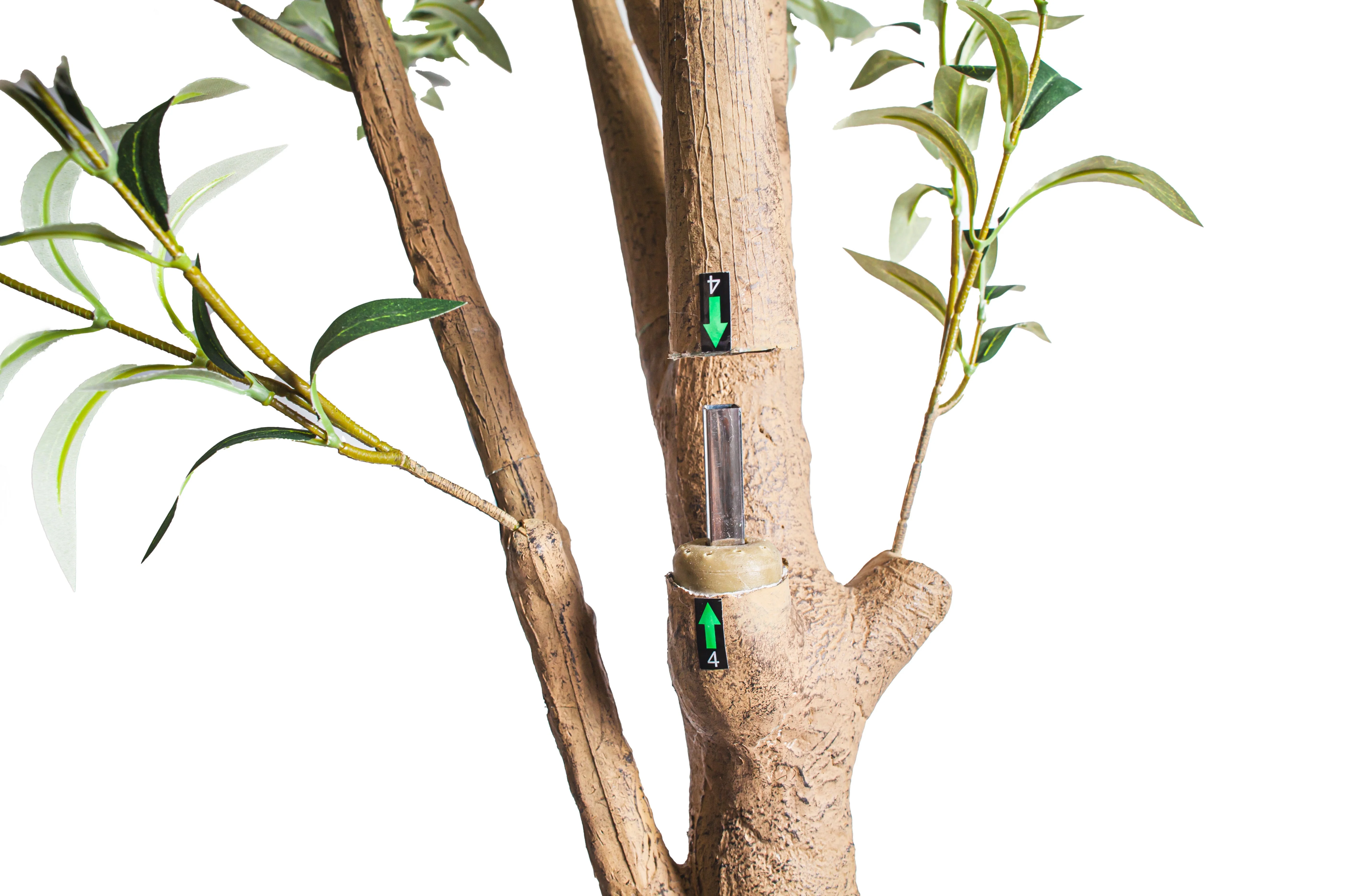 8’ Olive Tree      FP1420 - Image 3