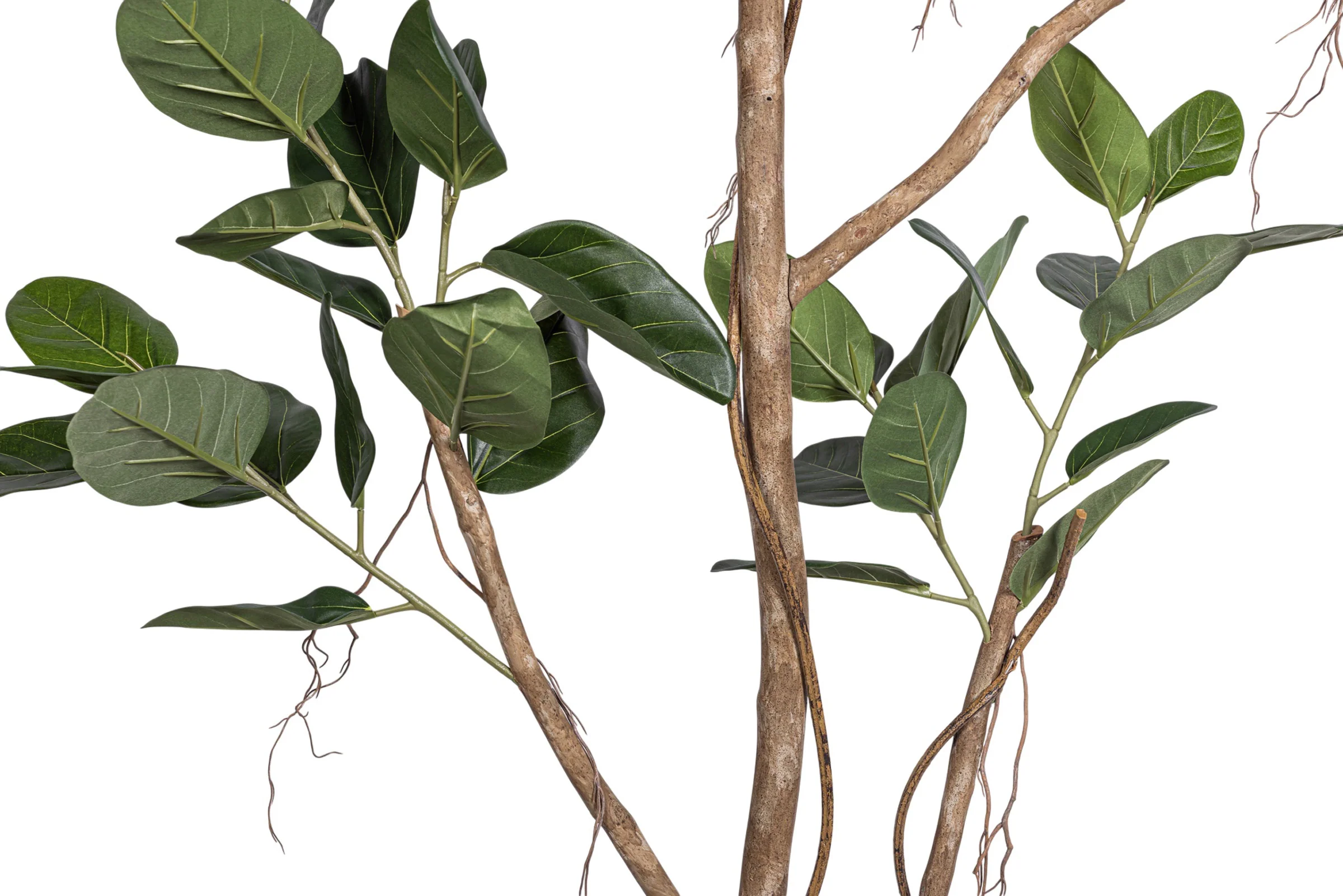 9' Audrey Ficus Tree       FP1433 - Image 3