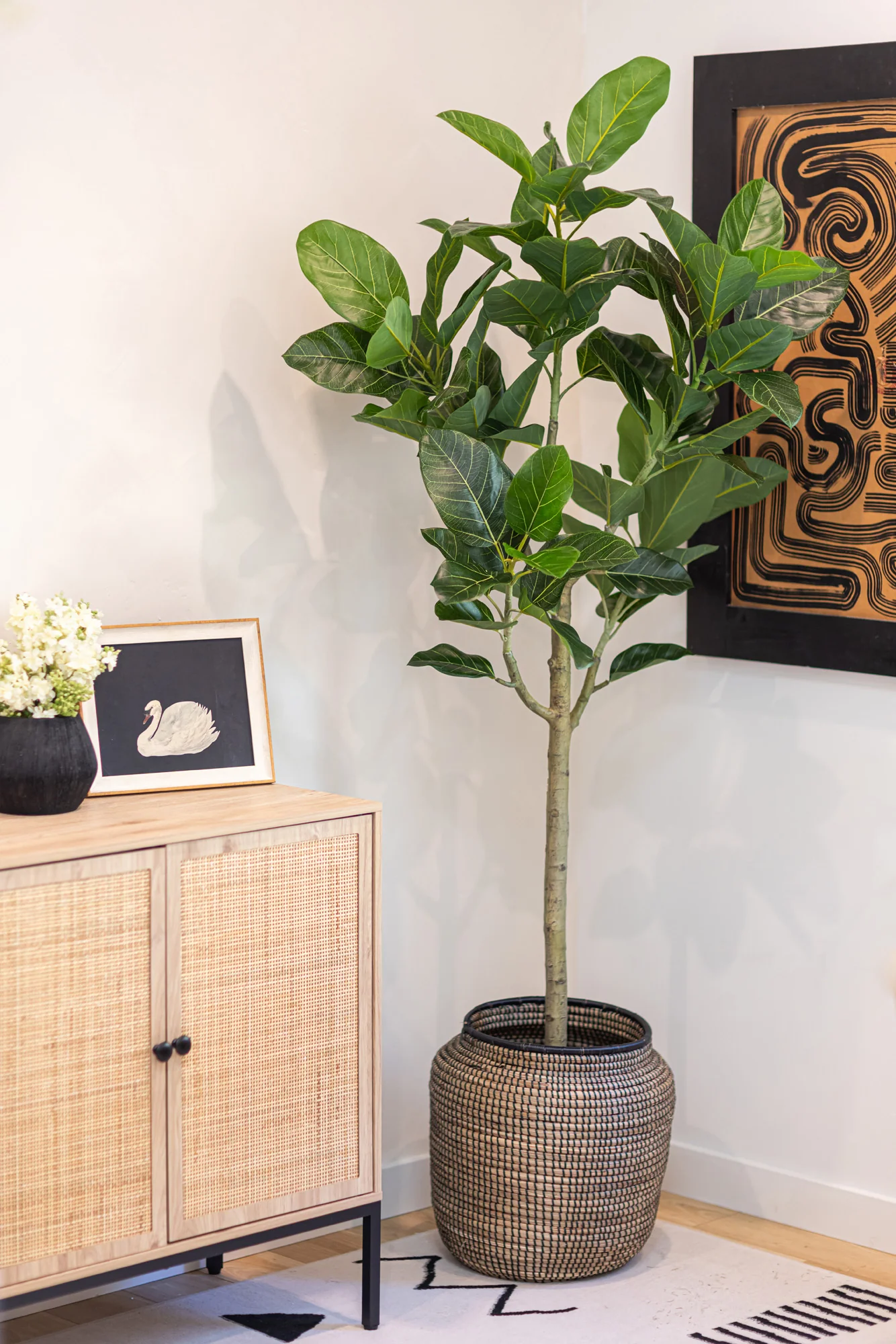 6' Audrey Ficus FP1466 - Image 7