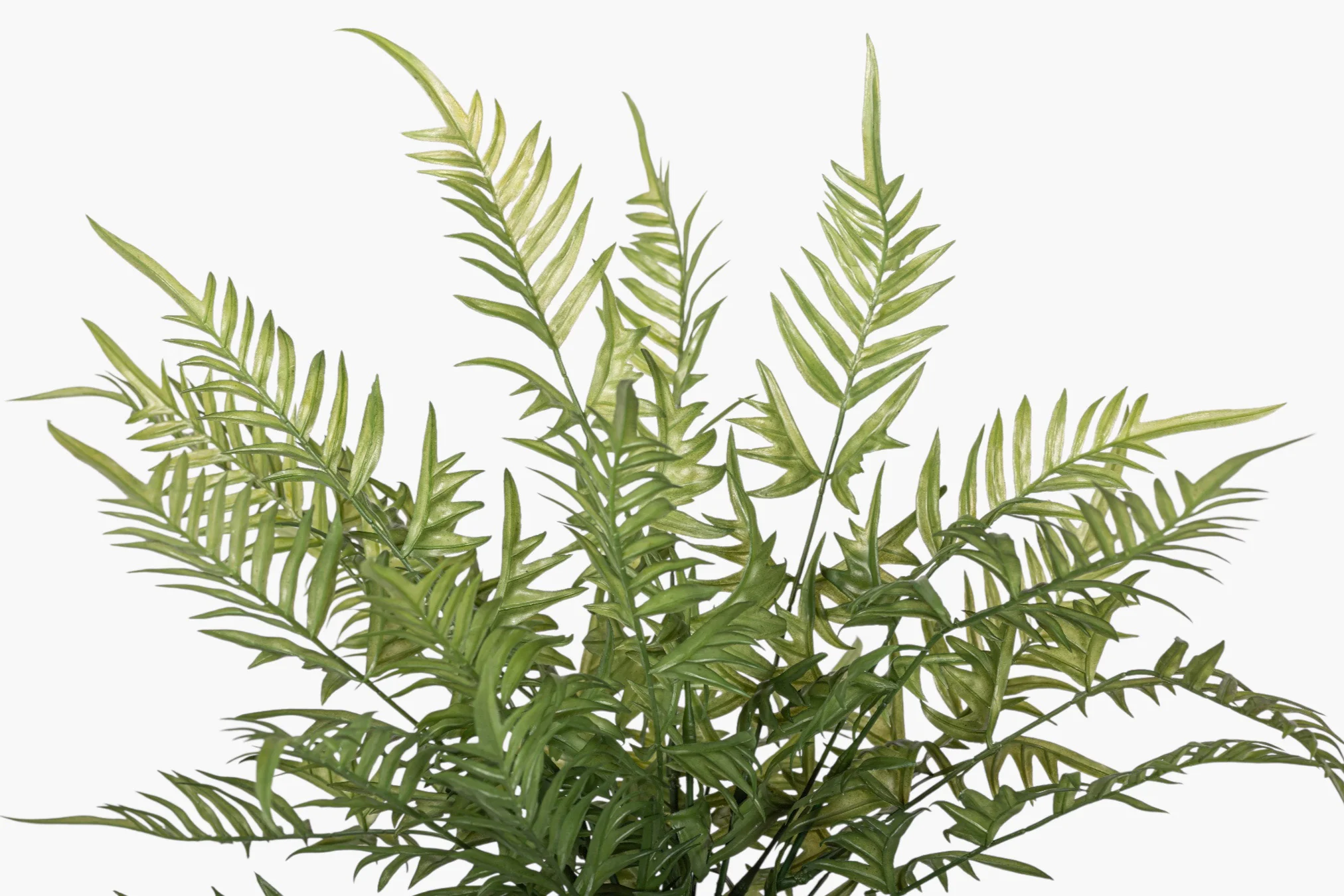 19" Fern Stem FR1044 - Image 2