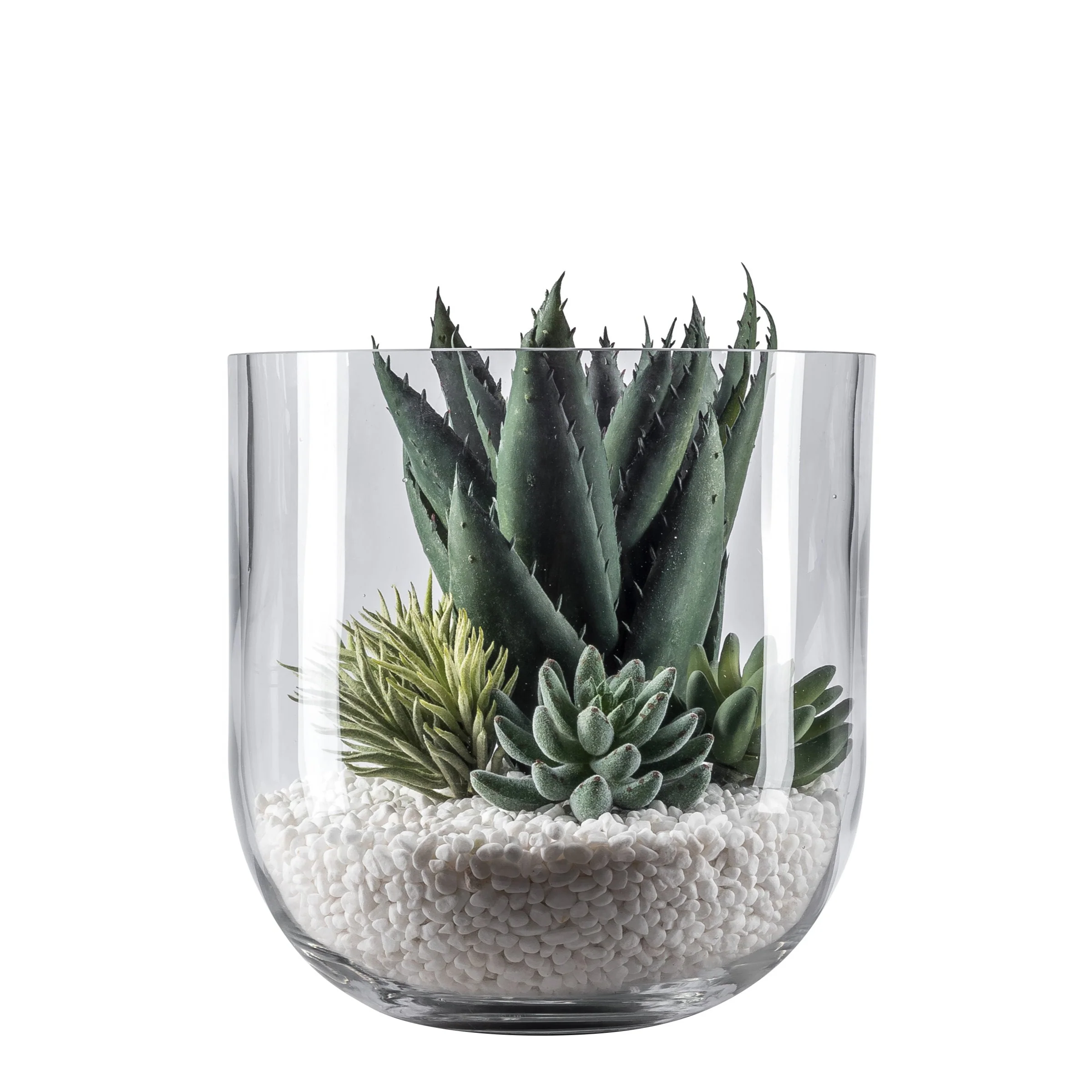 10" Colie Bowl Glass Vase with Succulents AR1046