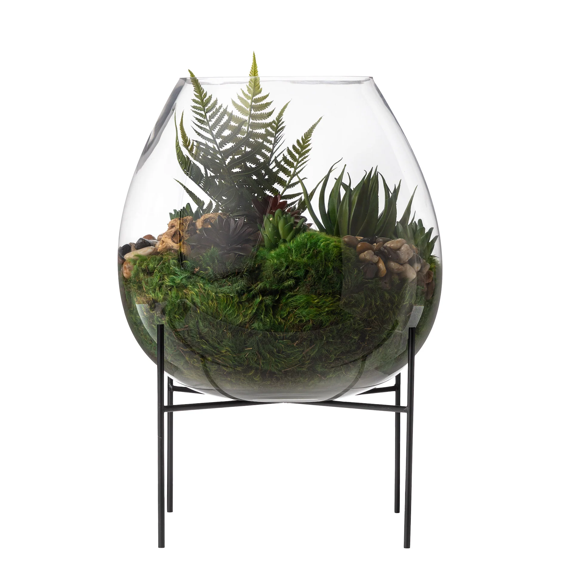 19.5" Carl Glass Vase with Succulent Arrangement AR1601