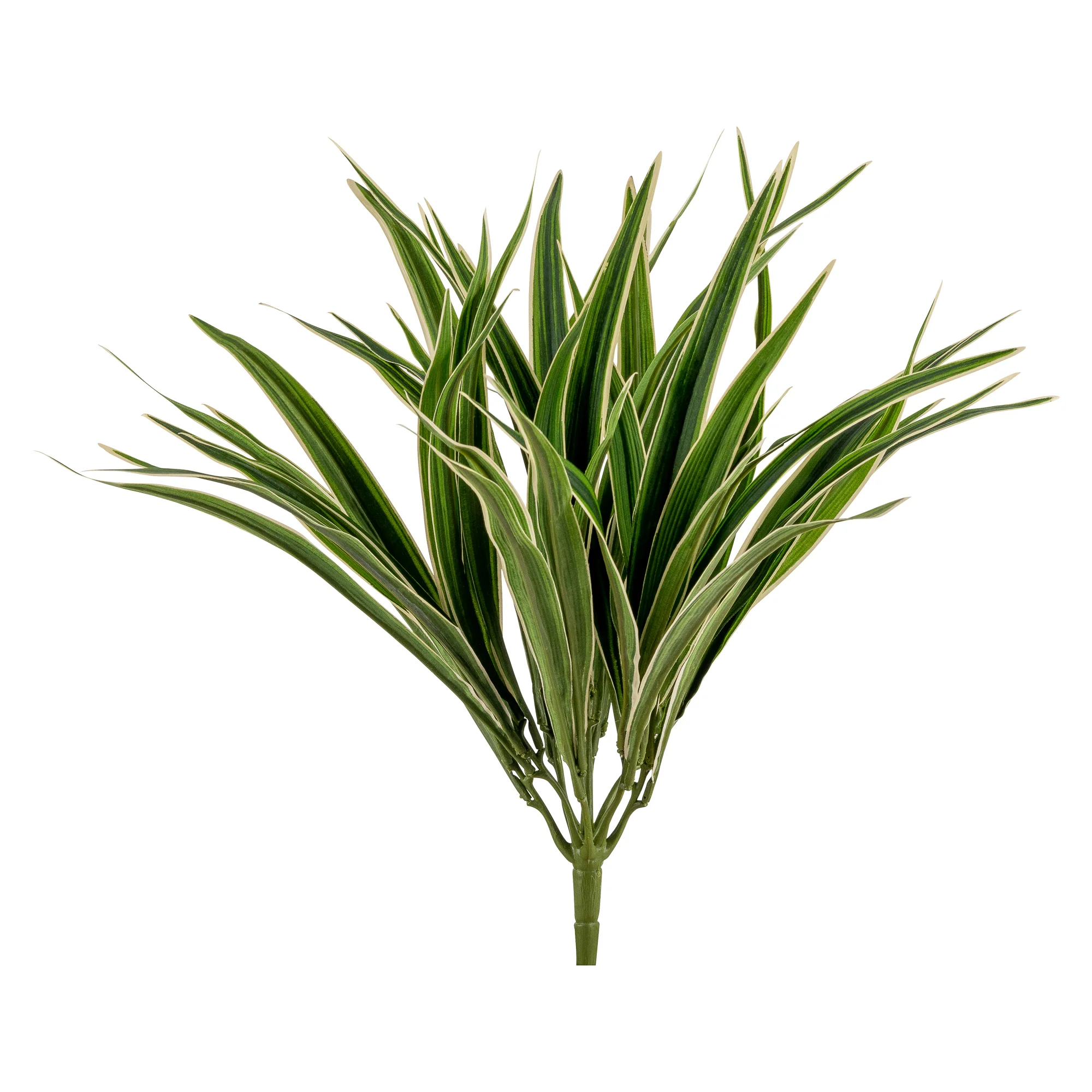 16" Golden Spider Plant - UV Treated GS1025UV